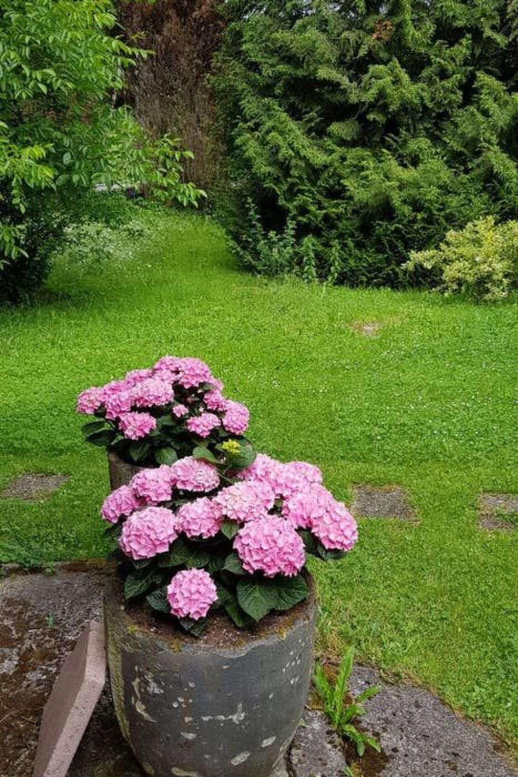 Haus Sonnenschein-Image-tags.info