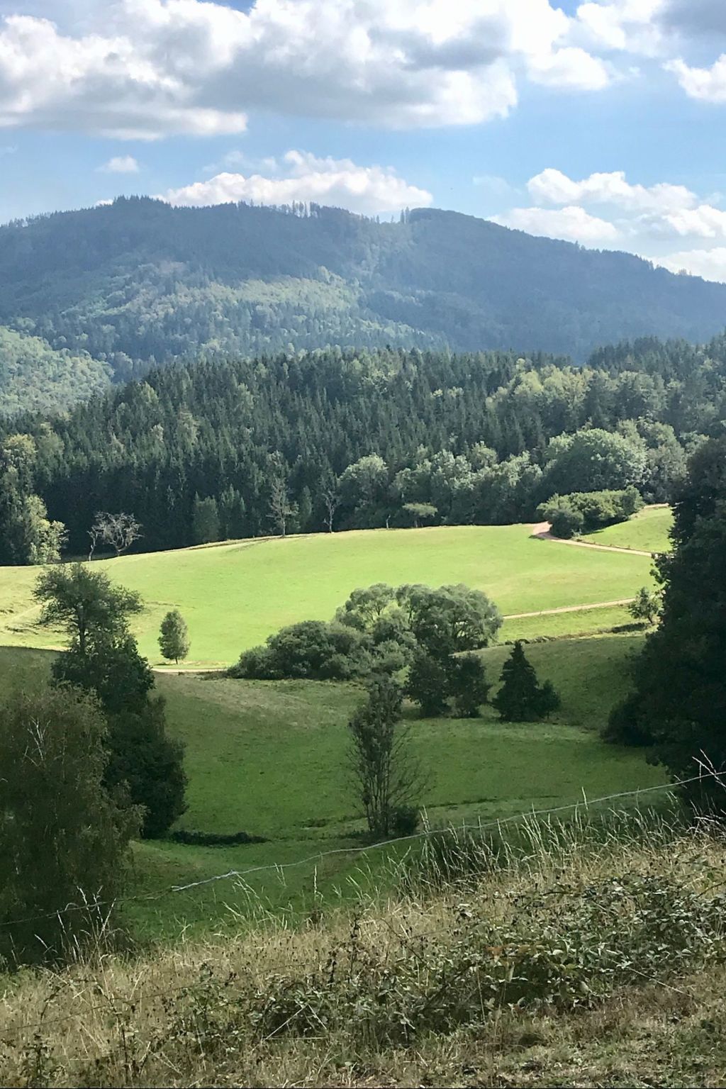 Haus Alpenblick-Inside