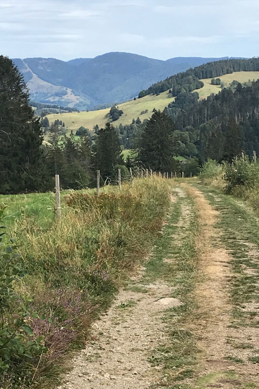 Haus Alpenblick-Inside