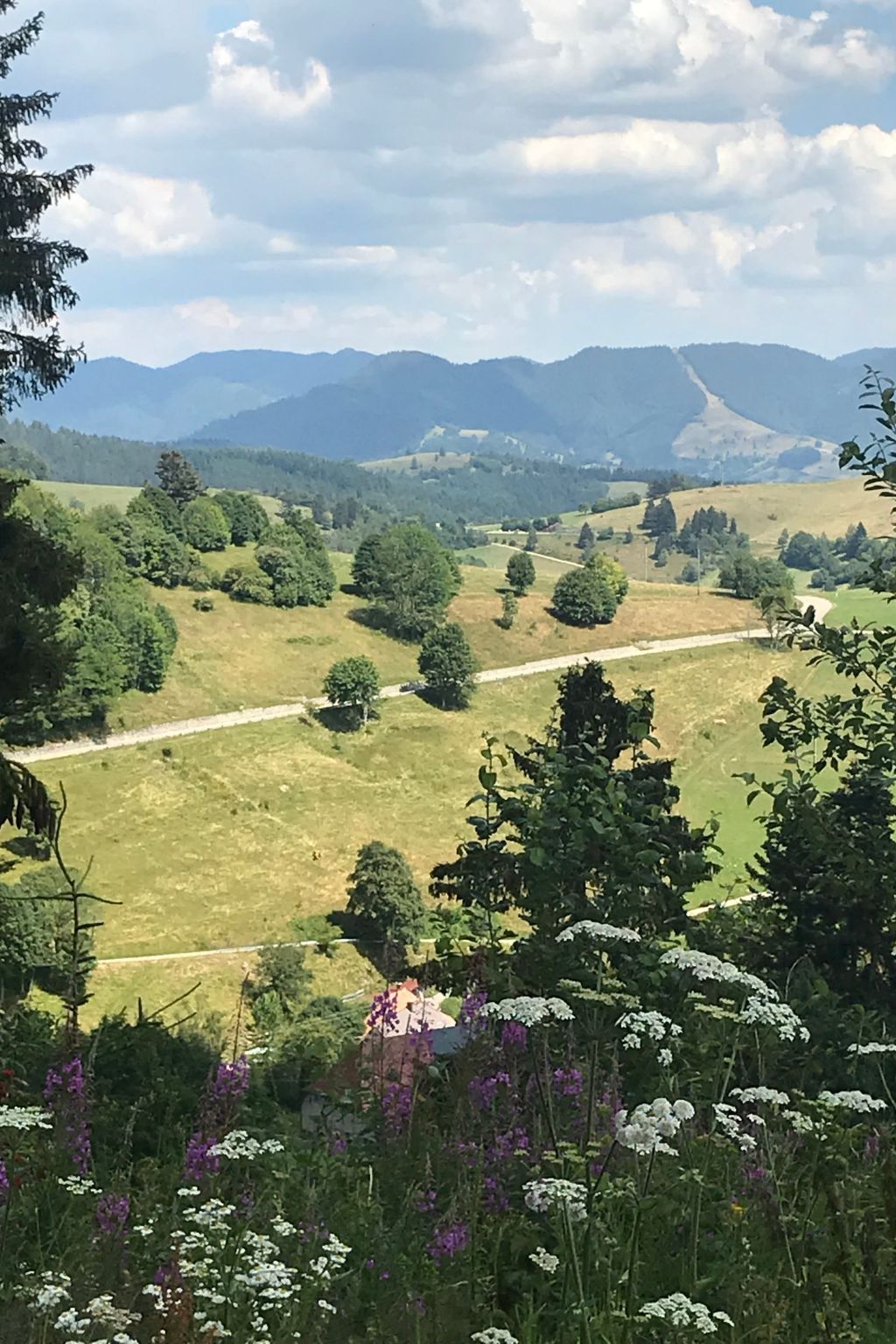 Haus Alpenblick-Inside