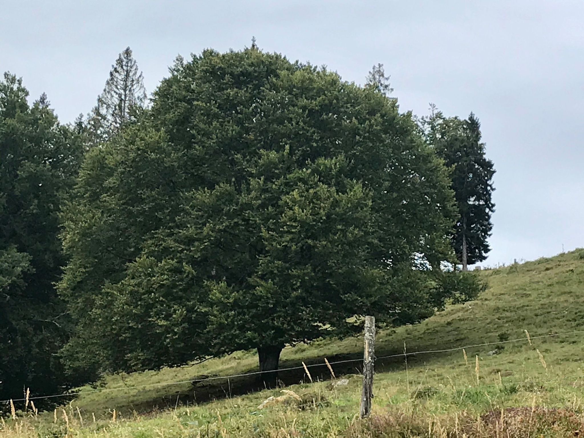 Haus Alpenblick-Inside