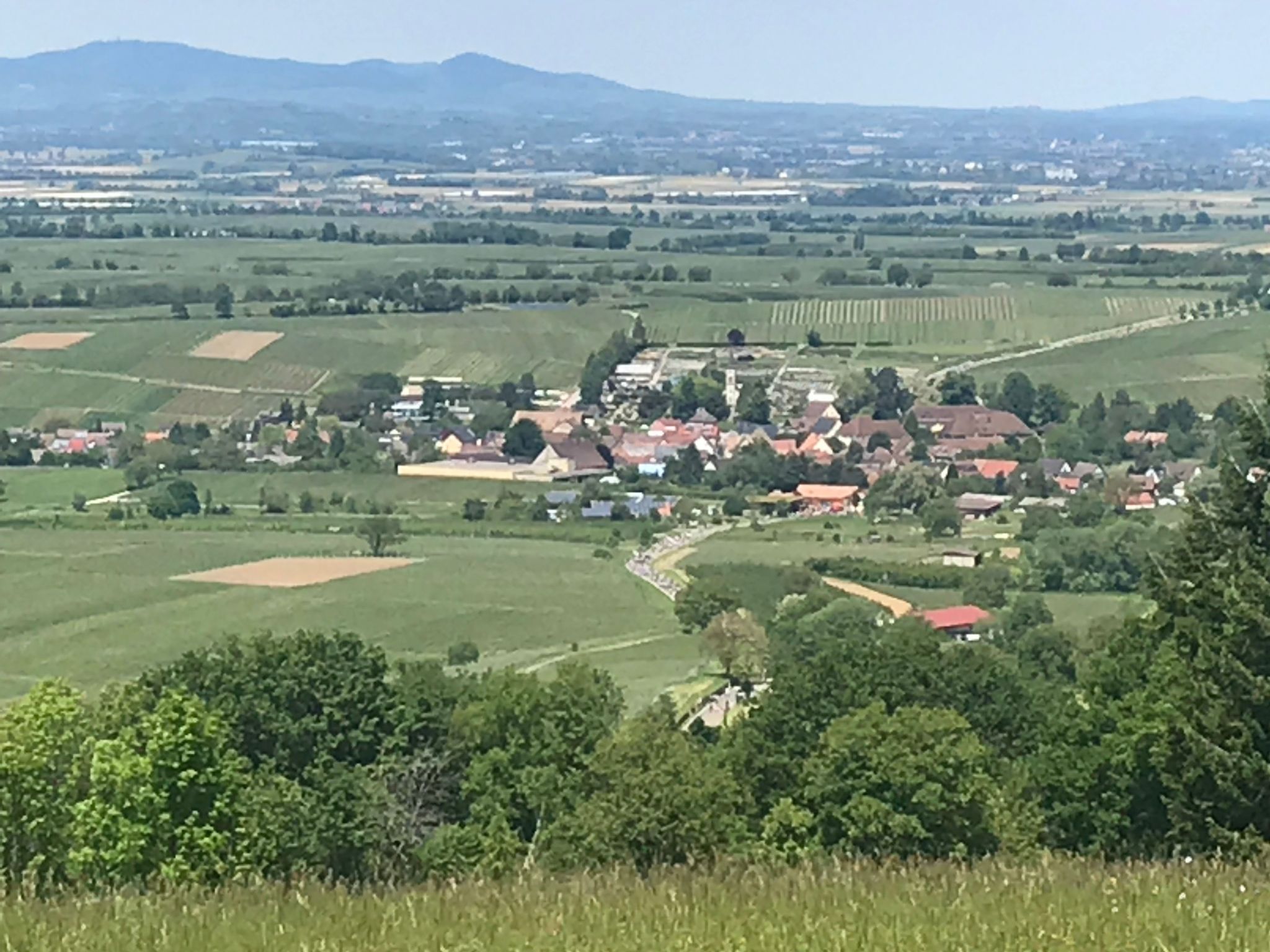 Haus Alpenblick-Inside