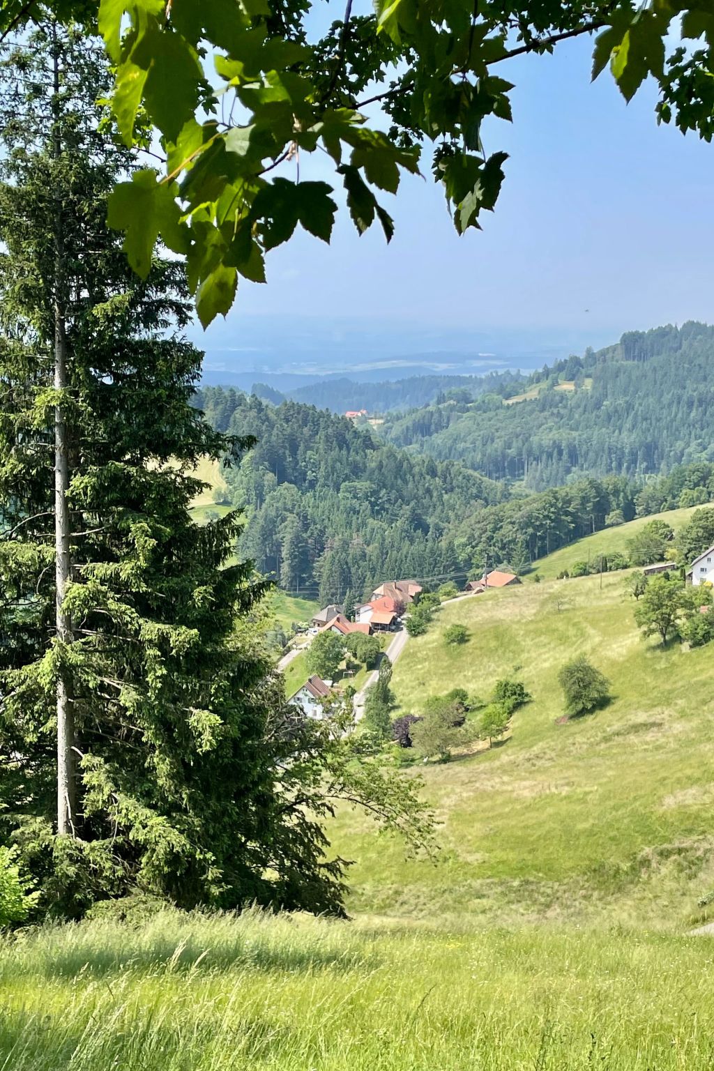 Haus Alpenblick-Inside