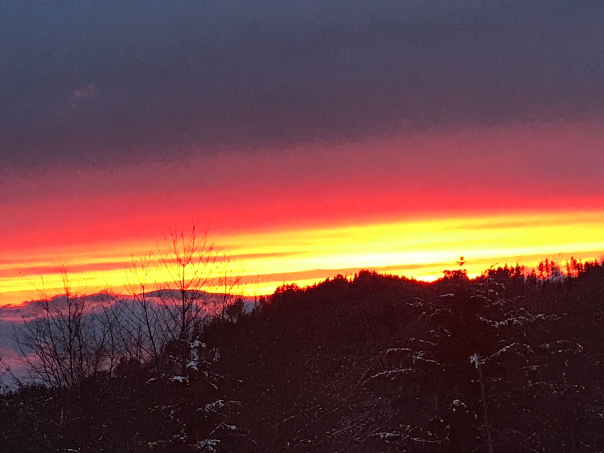 Haus Alpenblick-Inside