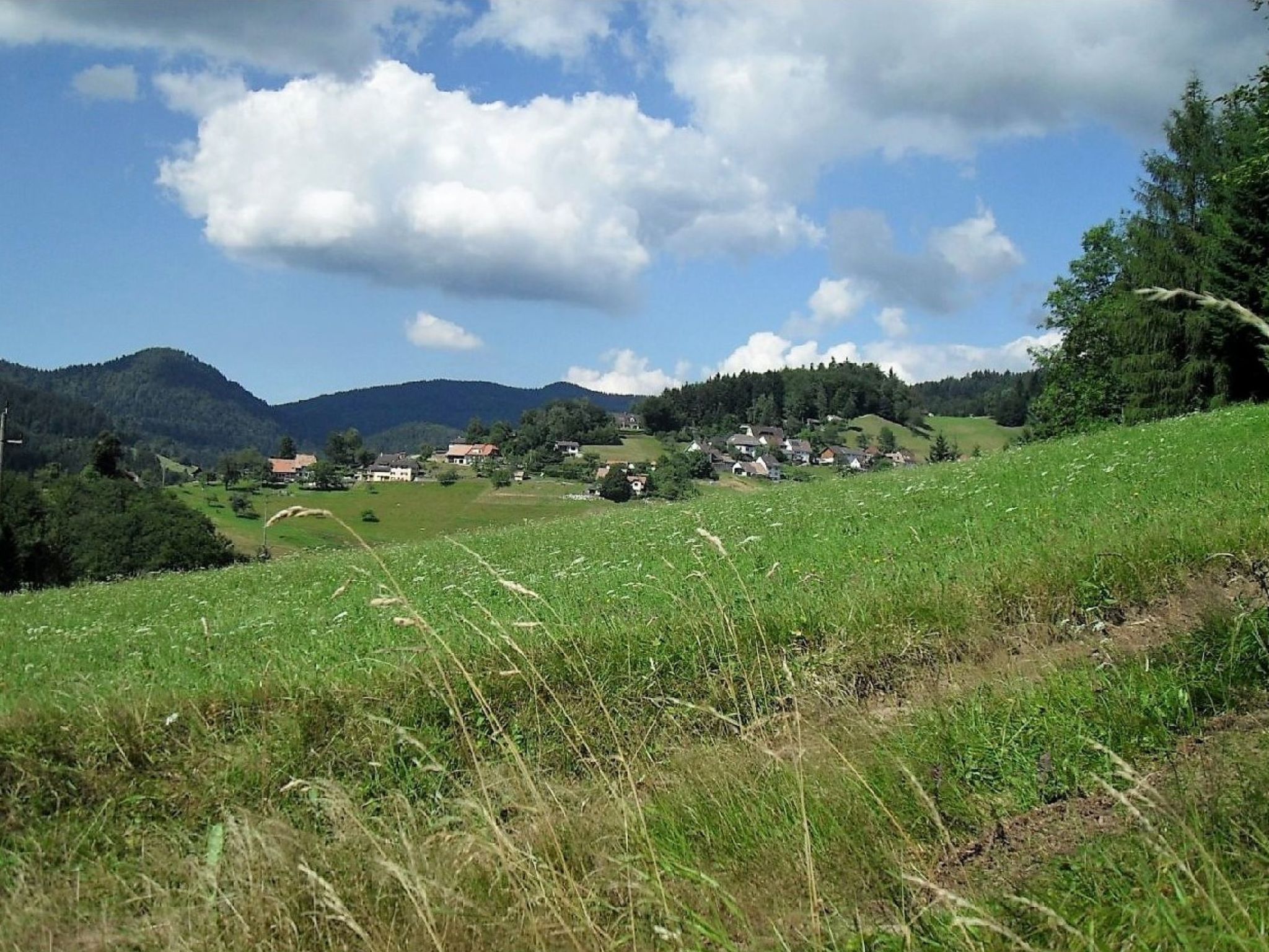 Haus Alpenblick-Inside