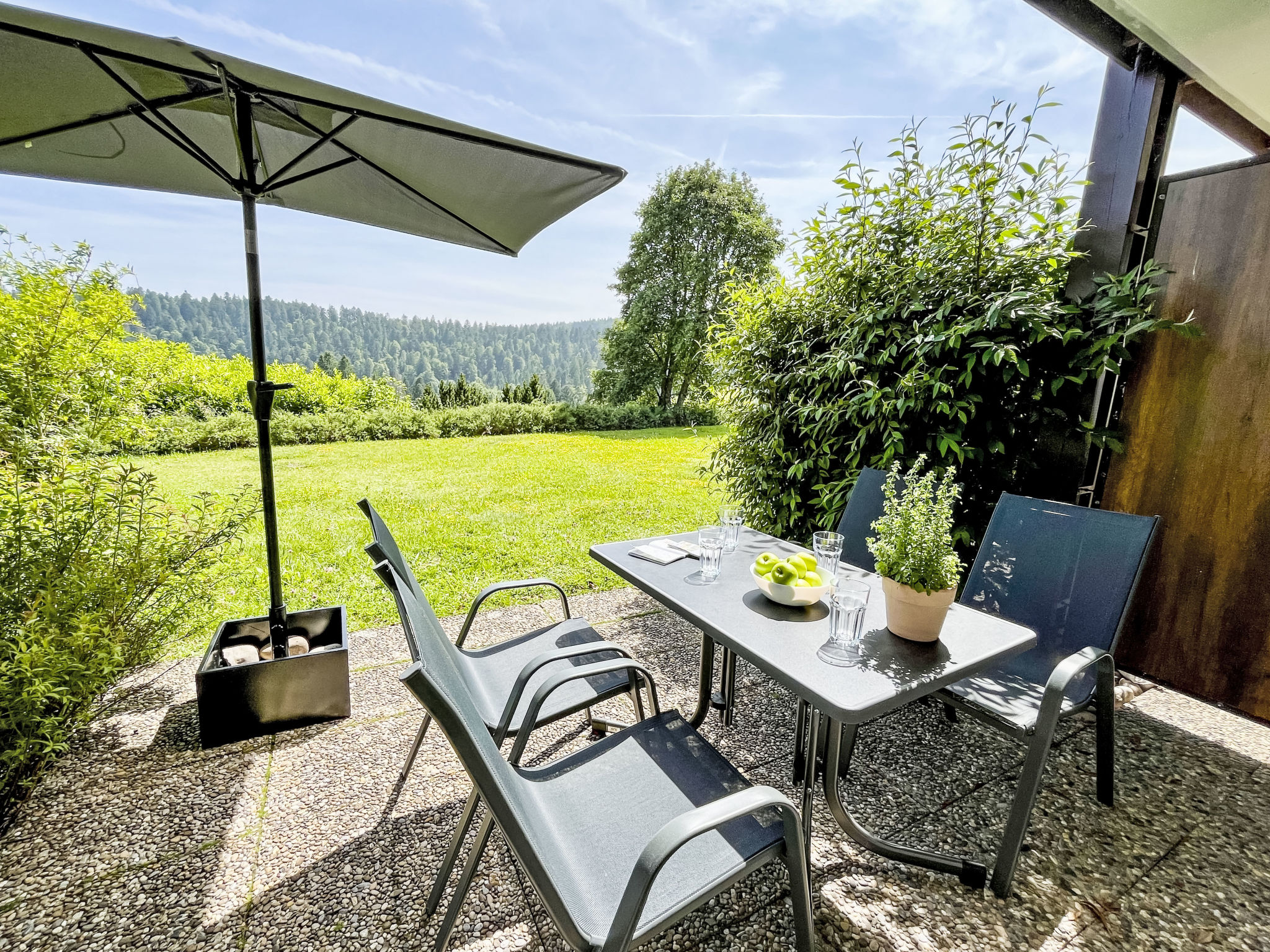 Tannenblick