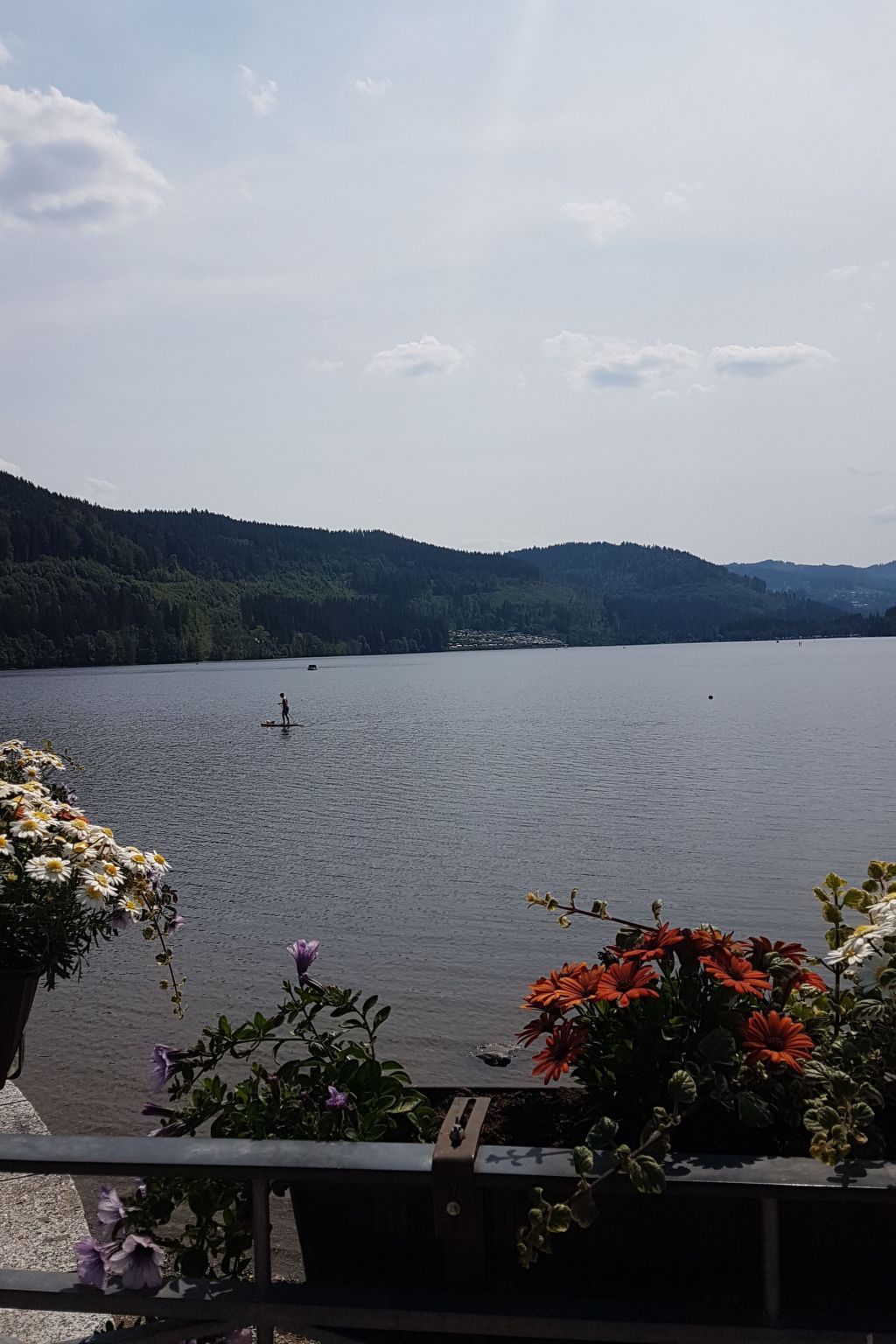 Kuschelnest Oase-Inside