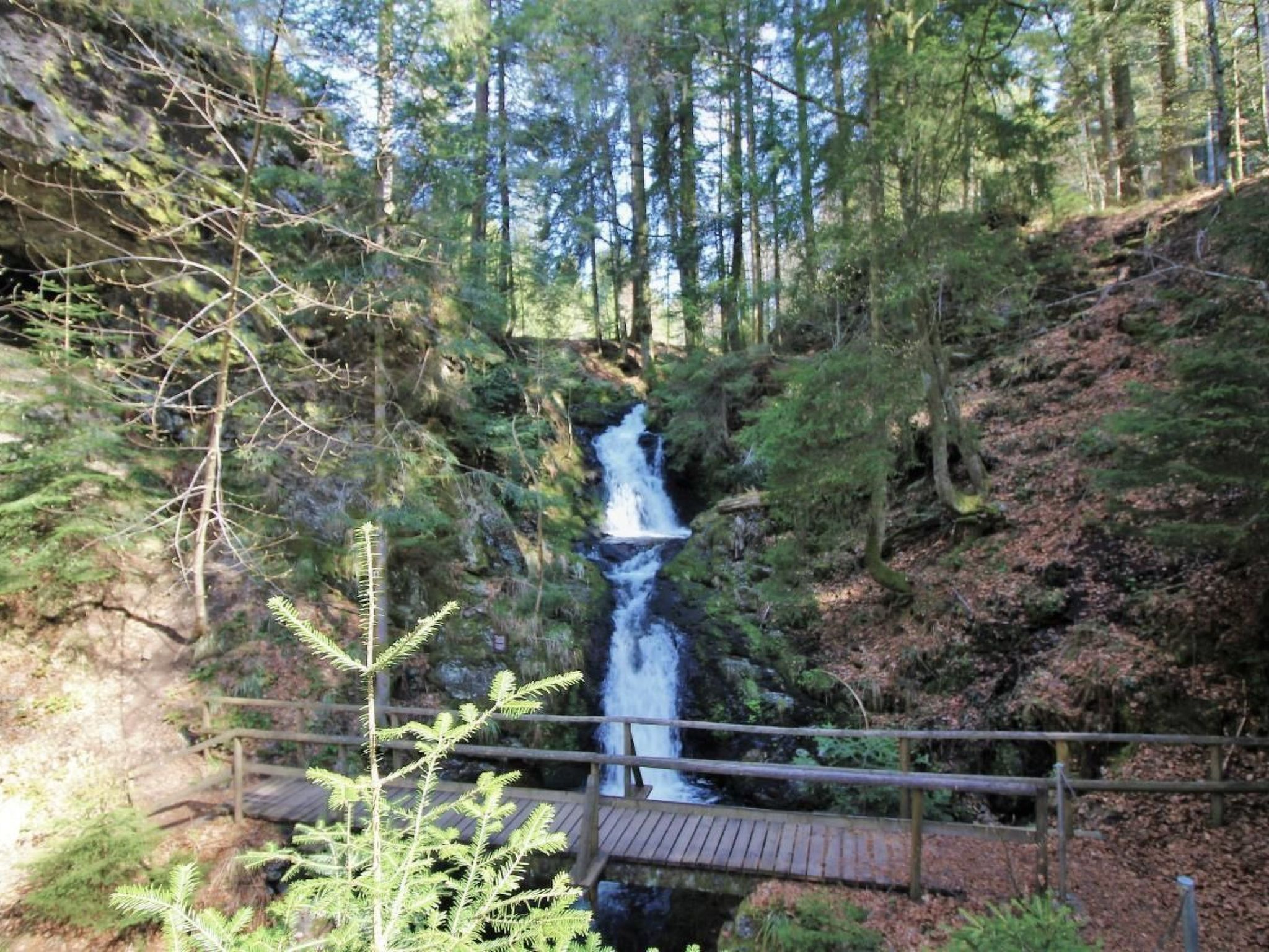 Kuschelnest Oase-Inside