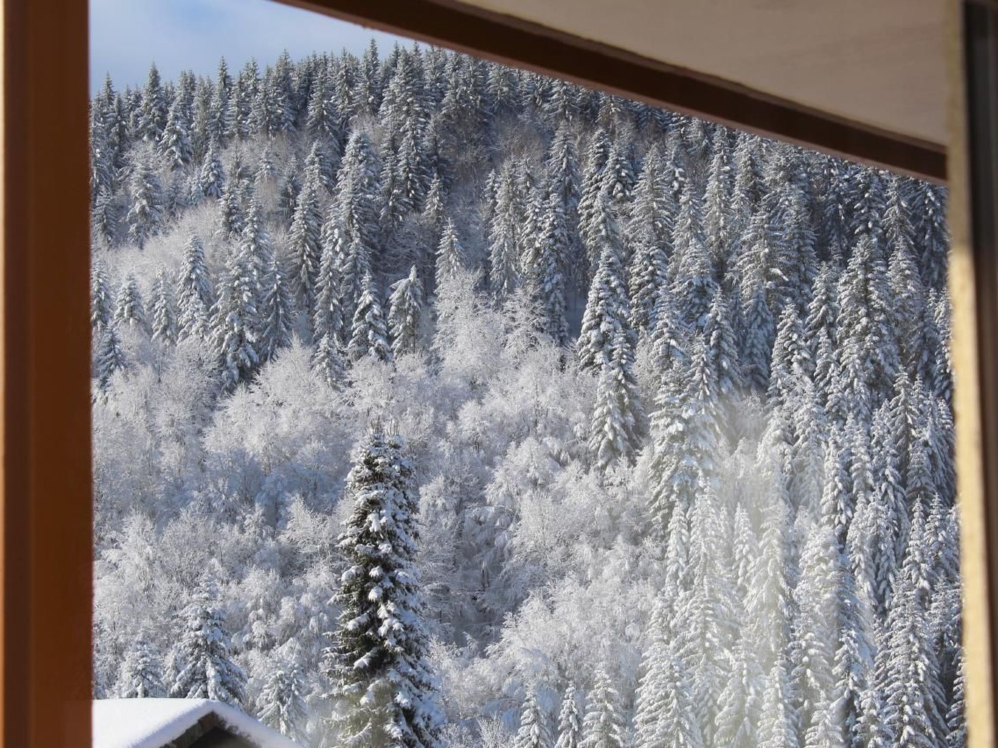 Kuschelnest Oase-Inside