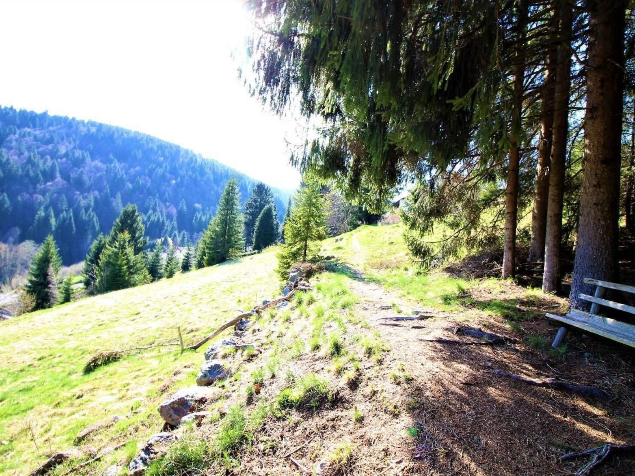 Kuschelnest Oase-Inside