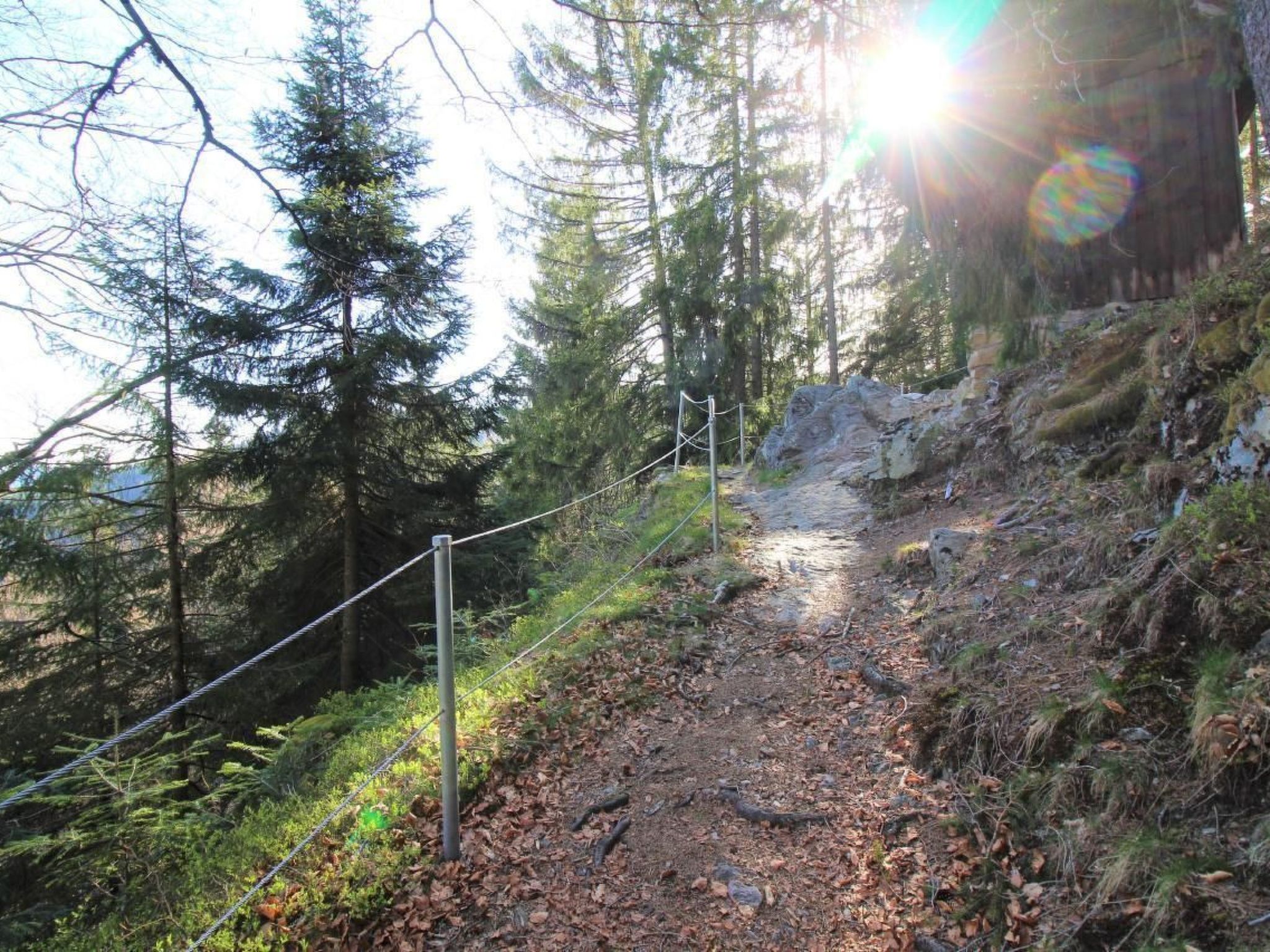 Kuschelnest Oase-Inside