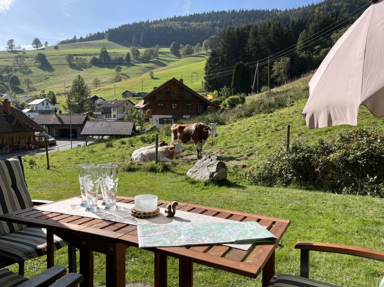 Appartement met sauna in Todtnau: rust en natuur in het Zwarte Woud in Todtnau
