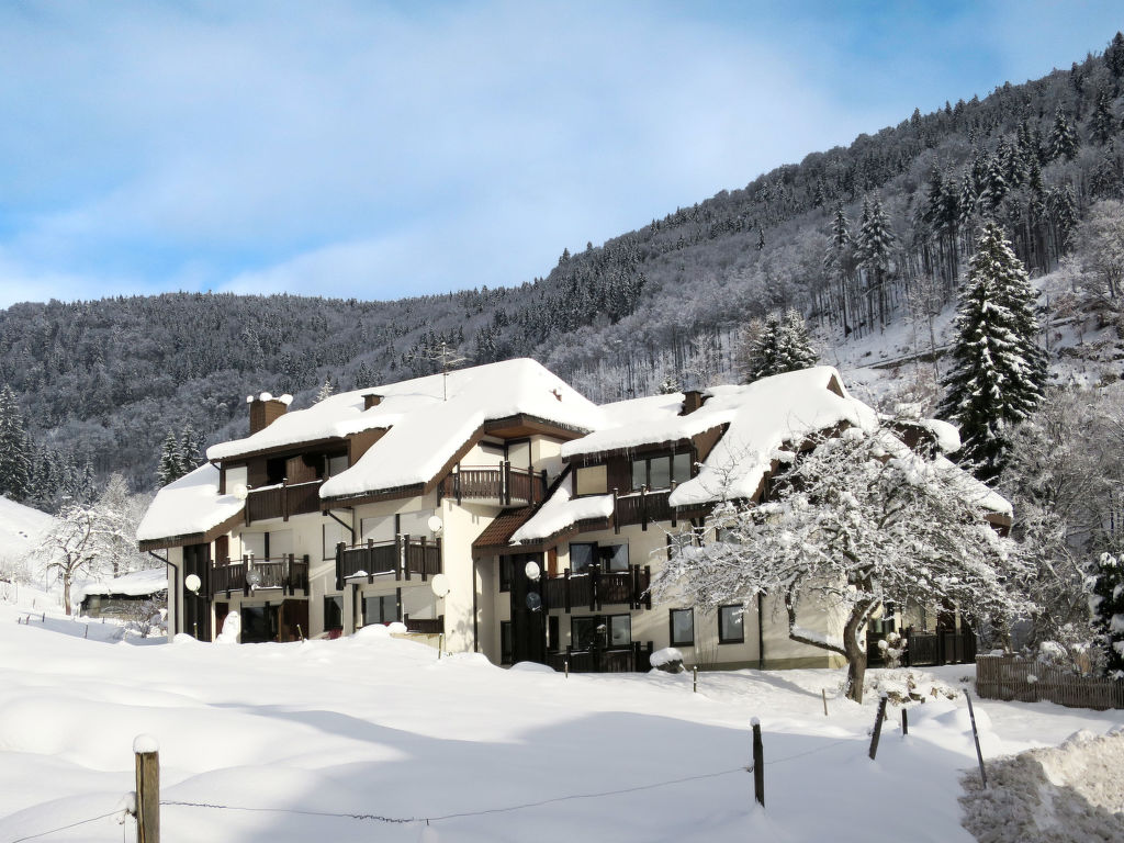 Ferienwohnung Sonnenblick Ferienwohnung  Todtnau