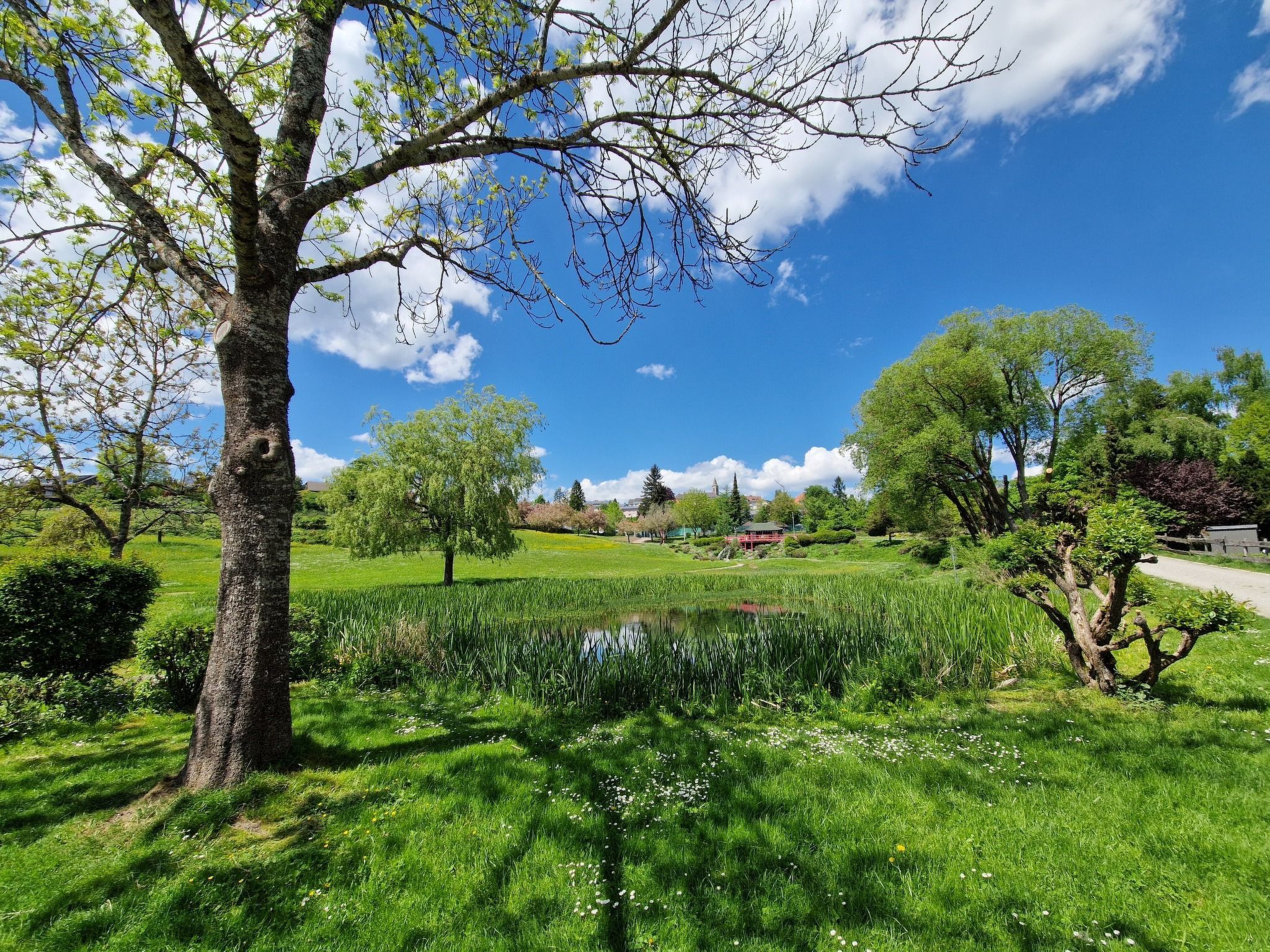 Lufs Loft für 6 Pers-Inside