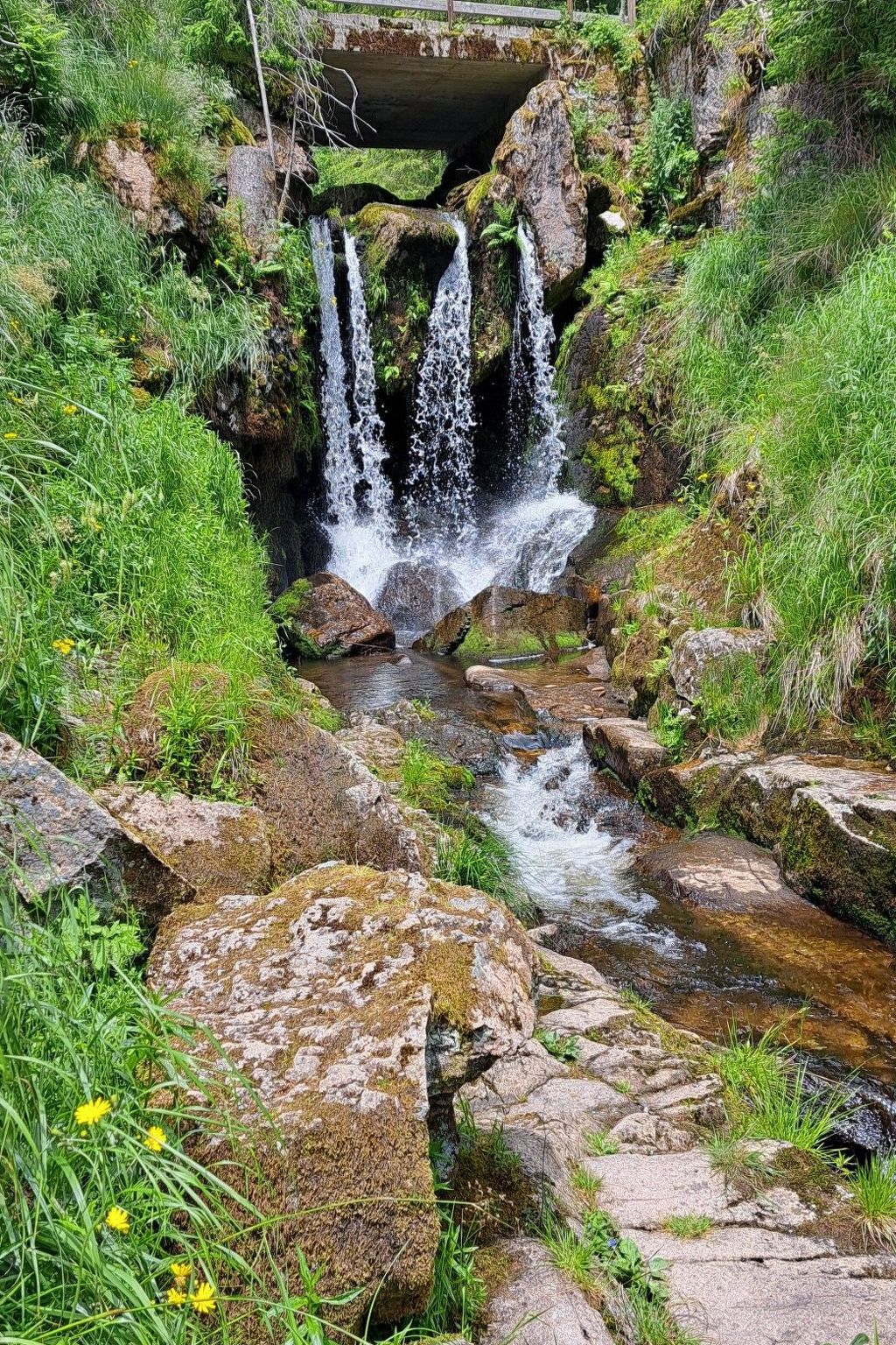 Lufs Loft für 6 Pers-Inside