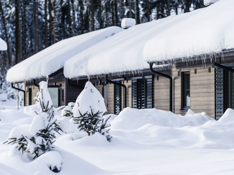 Tatil Evi Center Parcs Park Allgäu