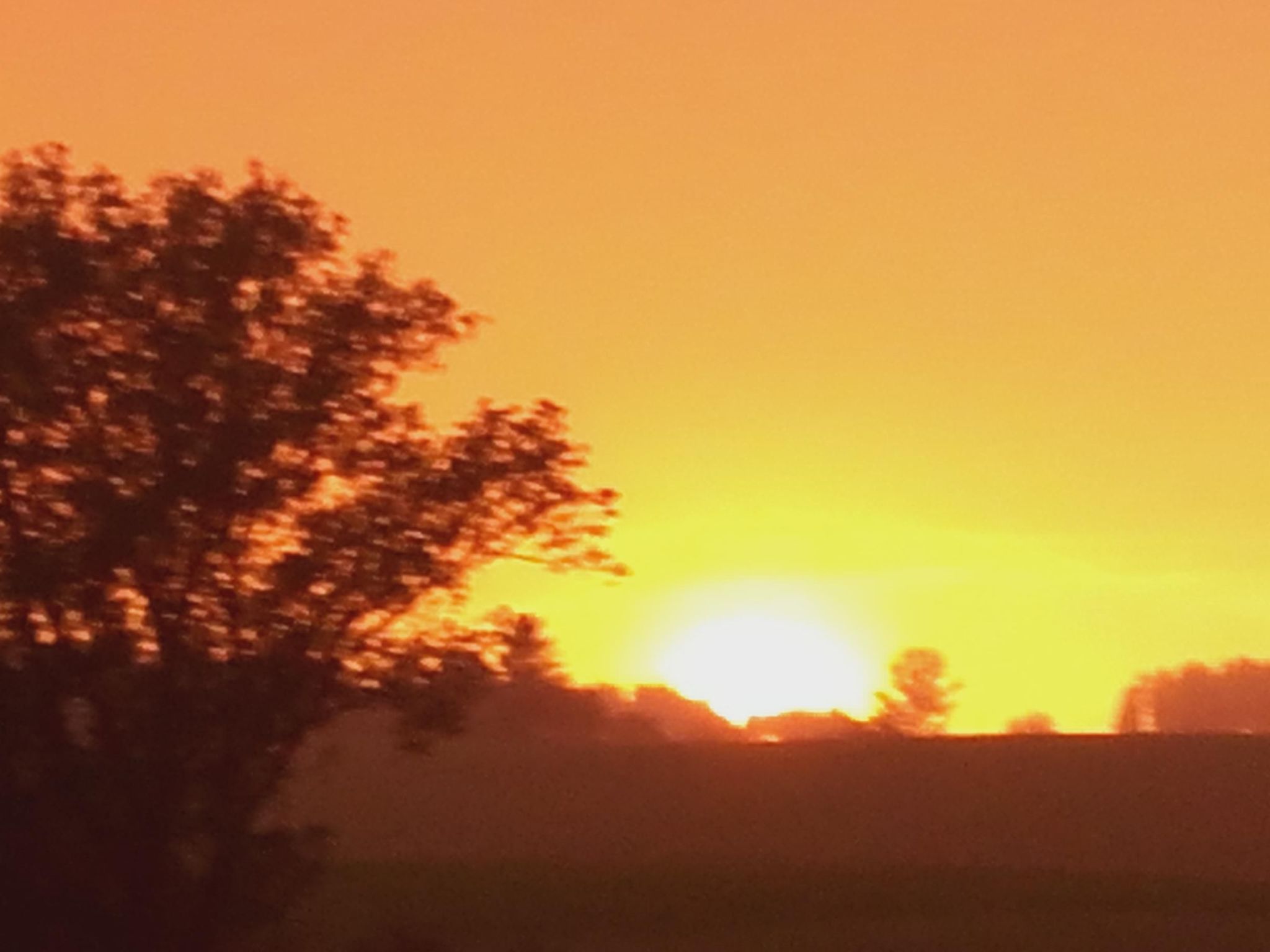 Wohnung mit großer Gartenterrasse und Ausblick-Drinnen