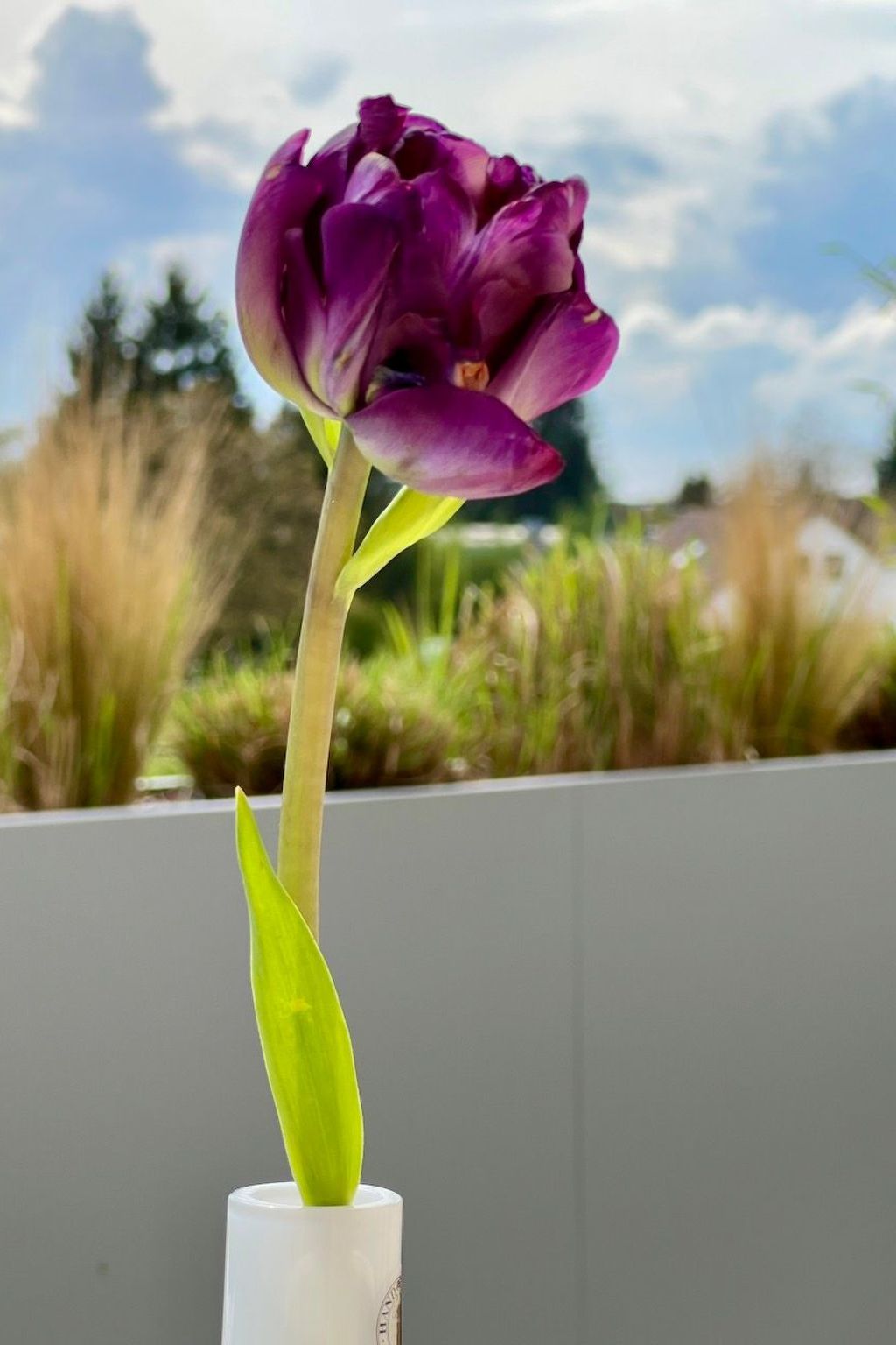 BLICKinsGRUEN-Image-tags.info