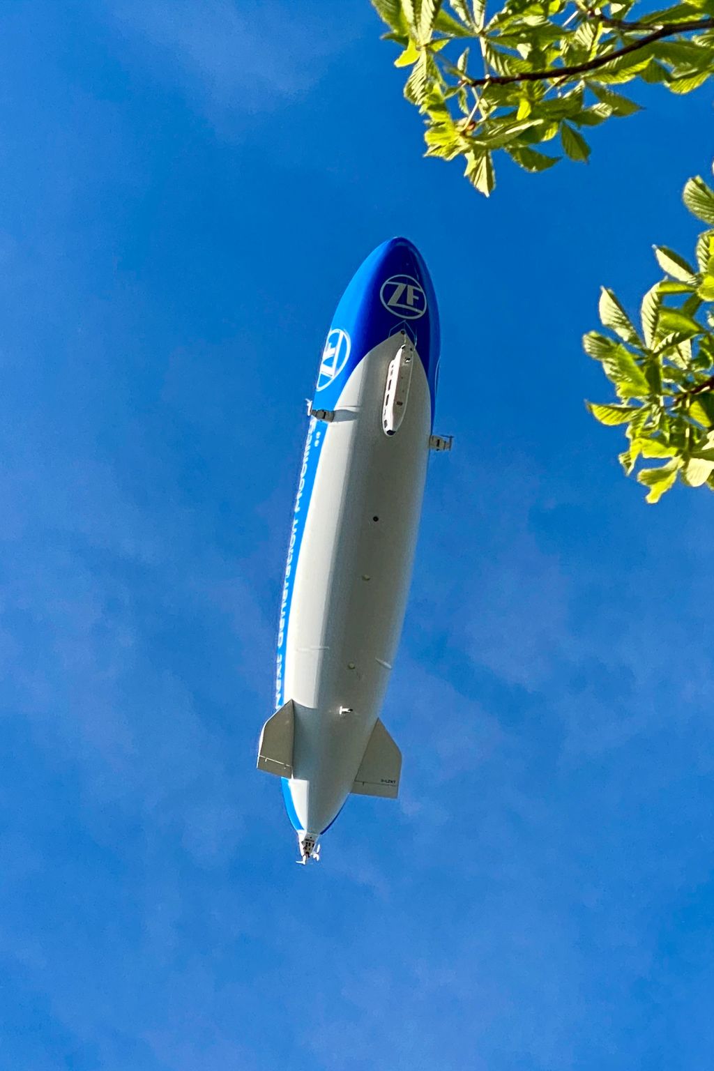 BLICKinsGRUEN-Image-tags.info