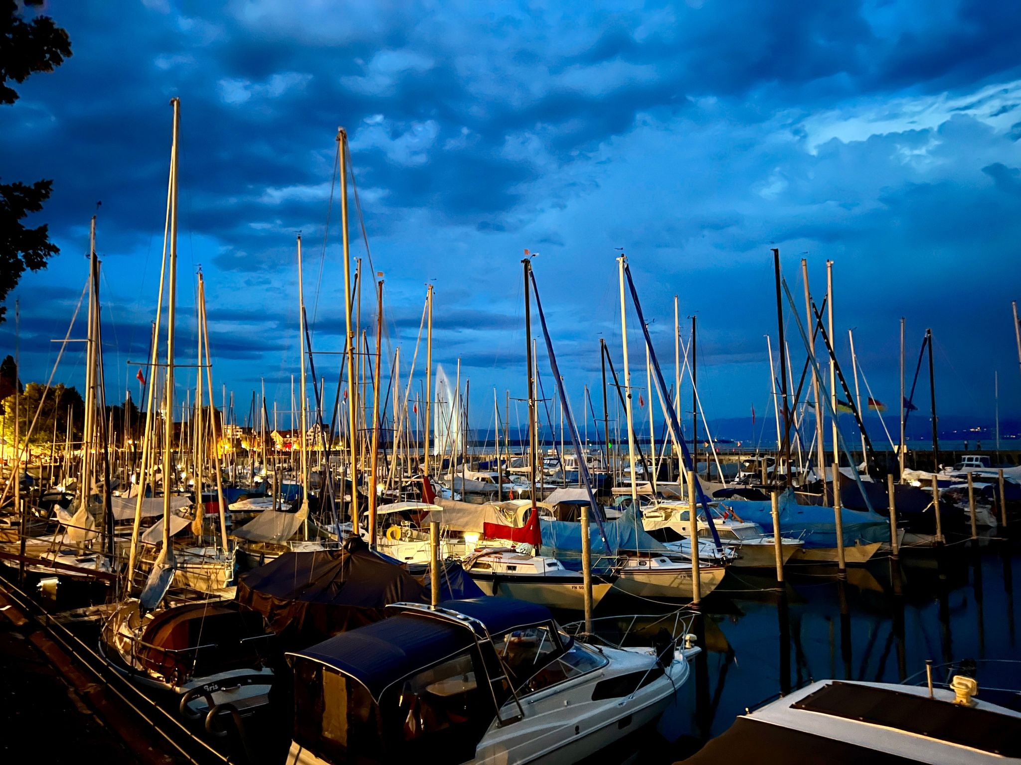 BLICKinsGRUEN-Image-tags.info