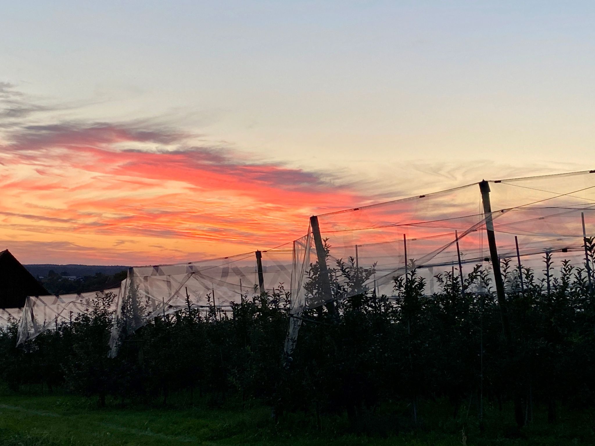 BLICKinsGRUEN-Image-tags.info