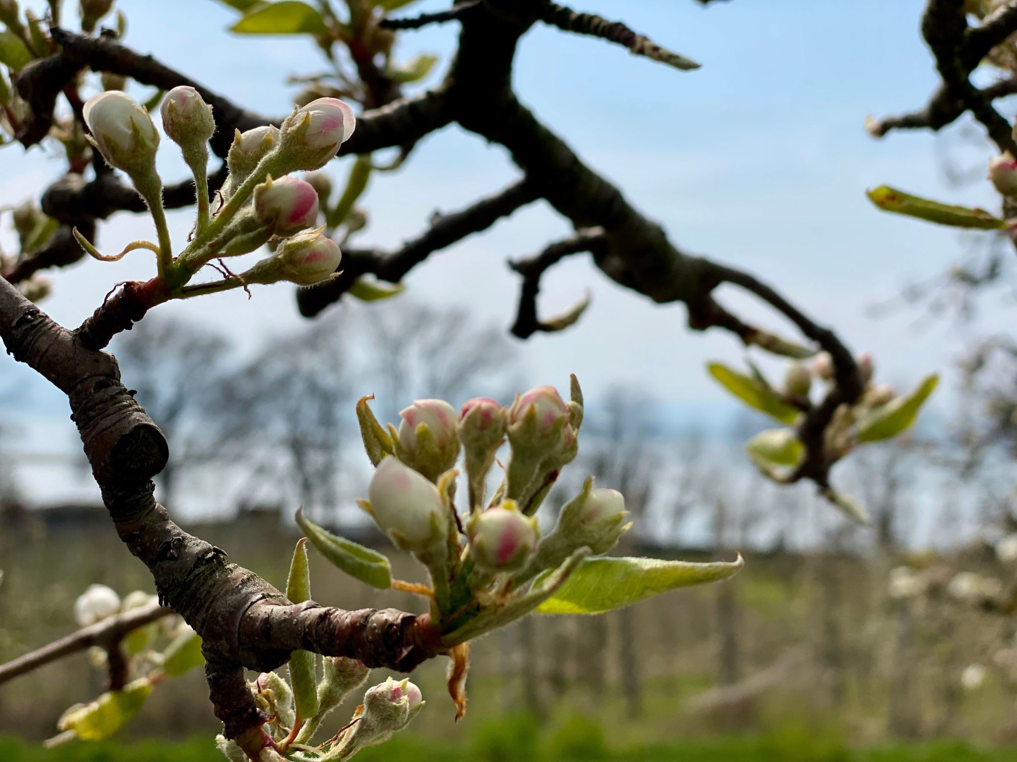 BLICKinsGRUEN-Image-tags.info