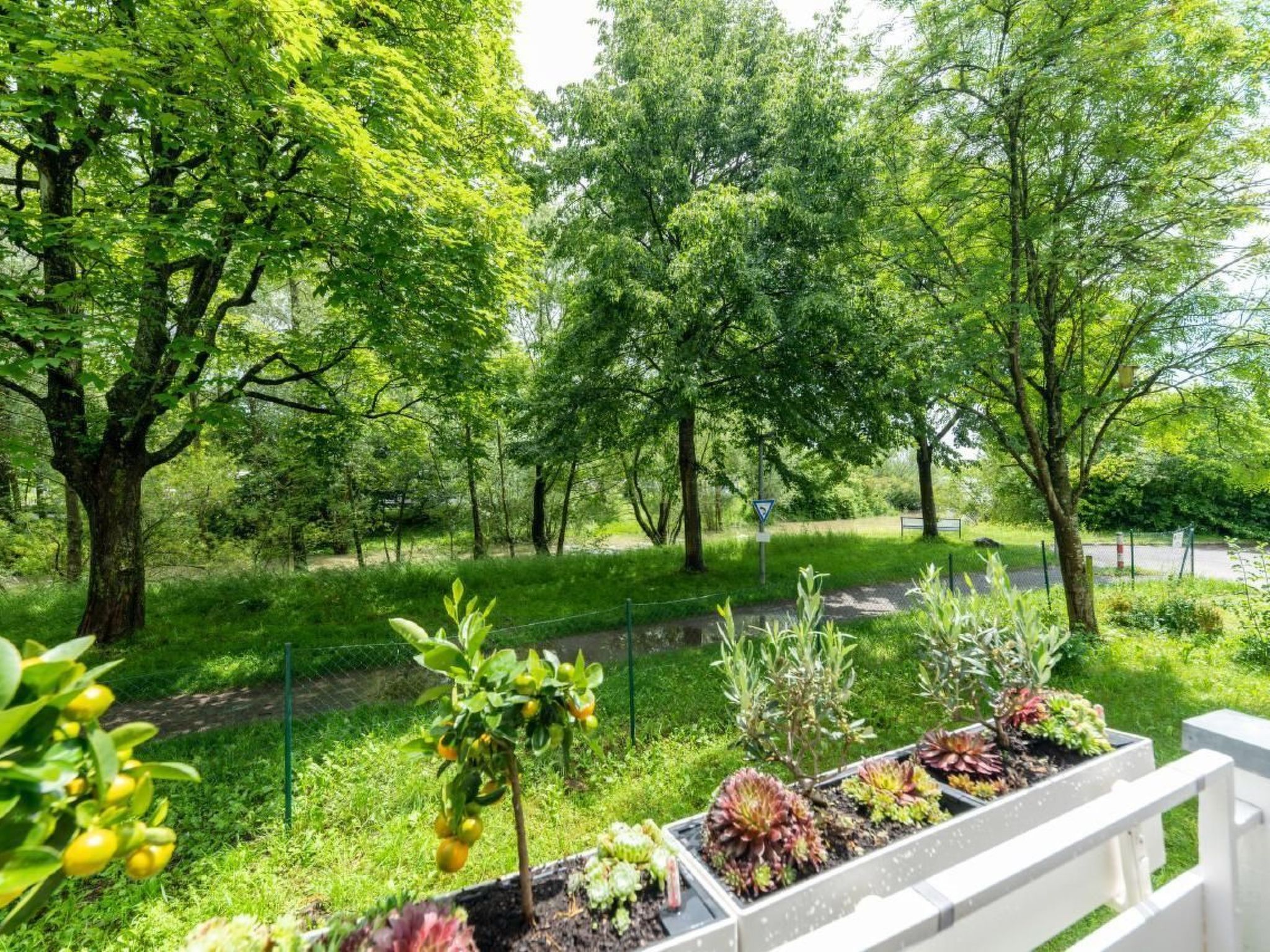 Traum Wohnung direkt am Bodensee mit Seesicht-Binnen