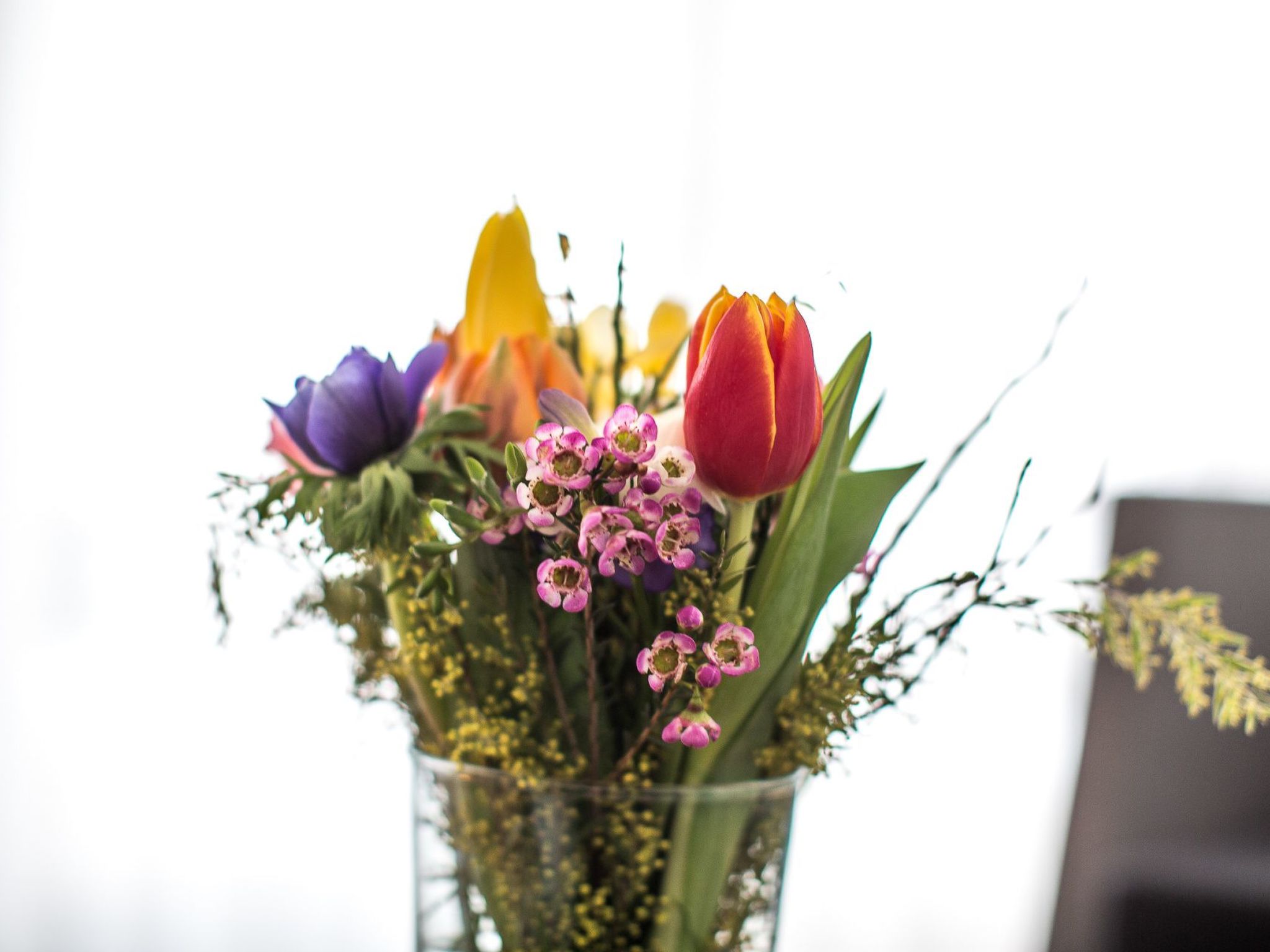 Pfänder-Image-tags.info