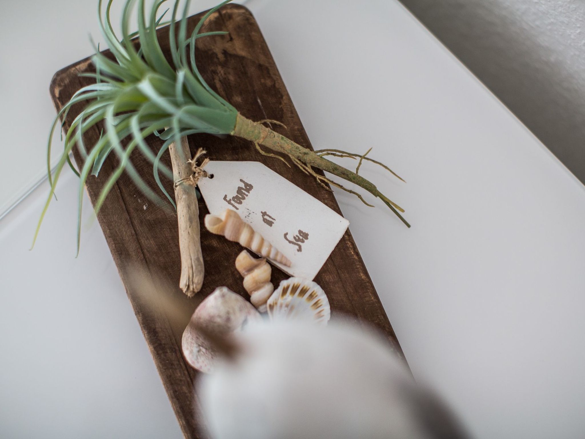 Pfänder-Image-tags.info