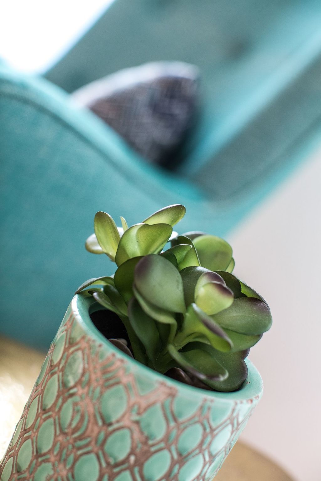 Pfänder-Image-tags.info