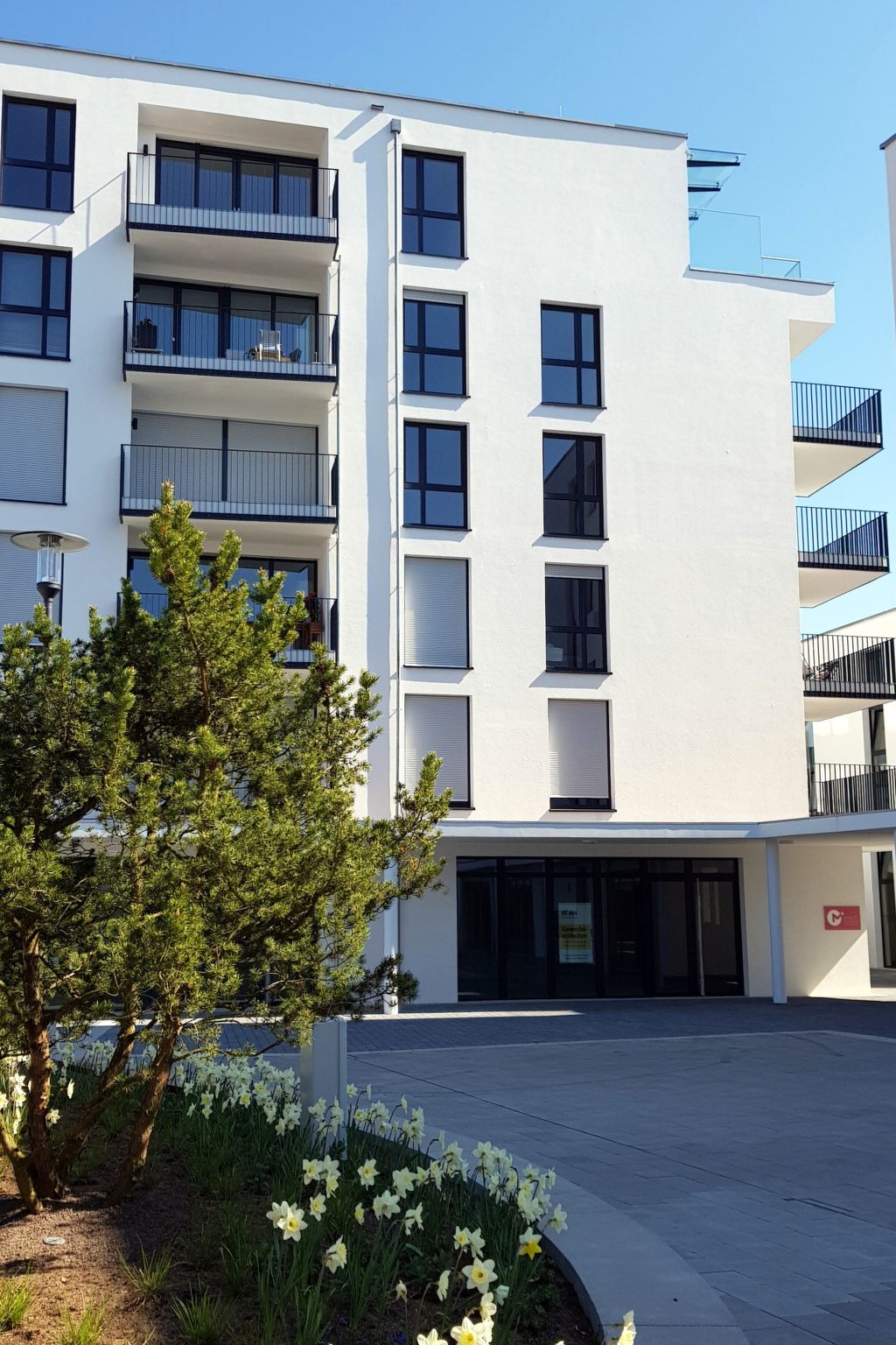 Pfänder-Image-tags.info