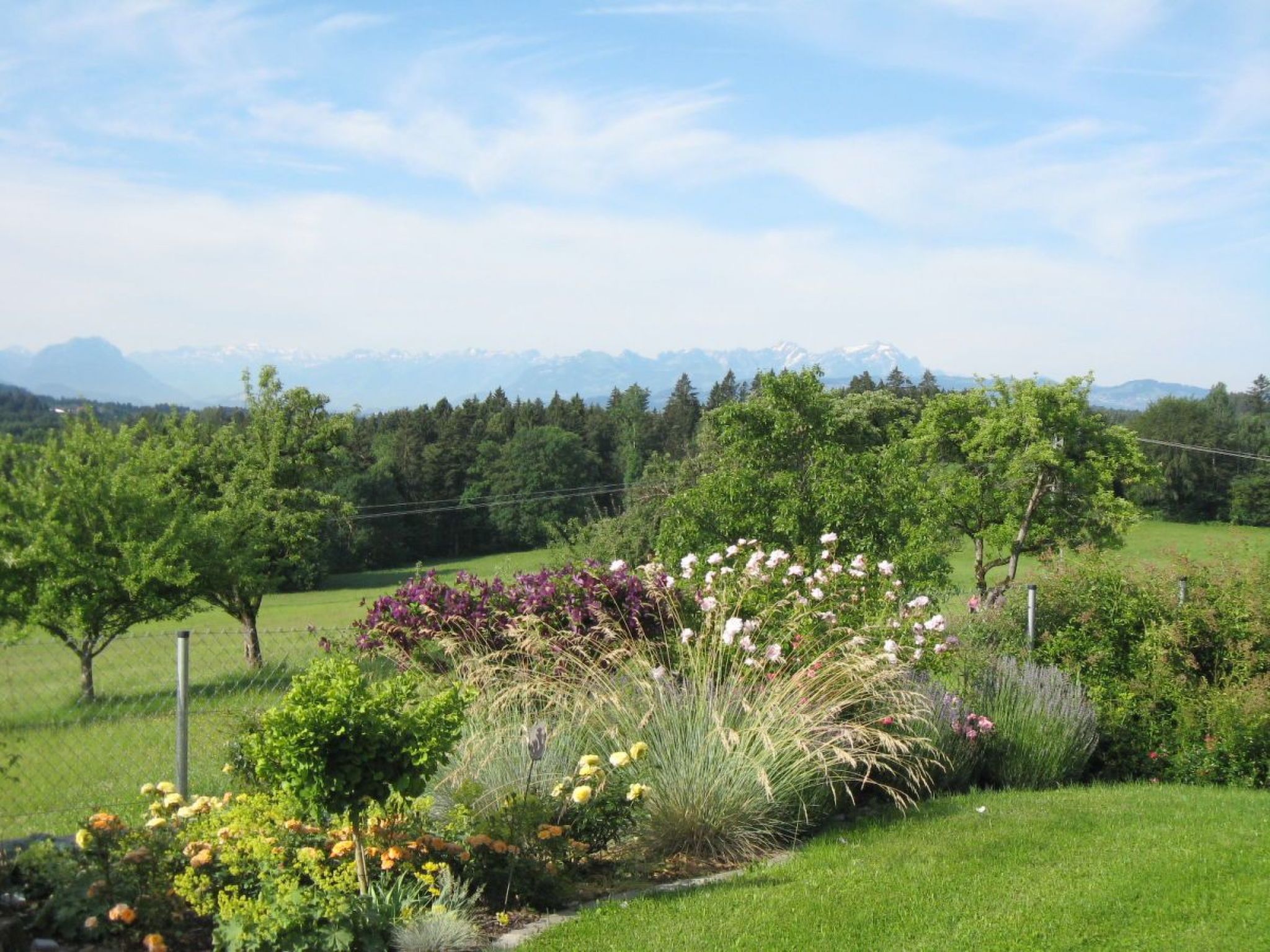 "Säntisblick"-Drinnen