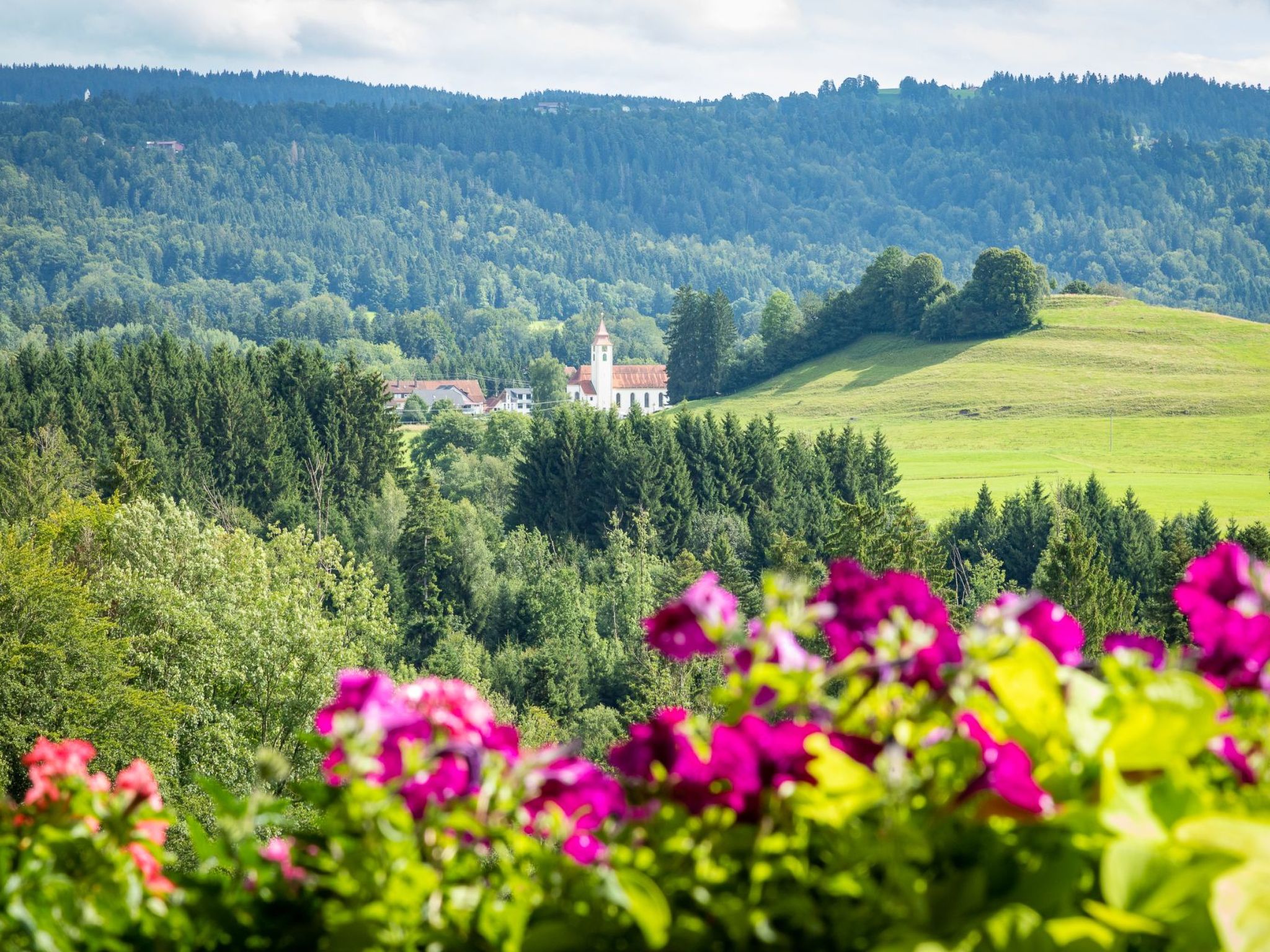"Säntisblick"-Drinnen