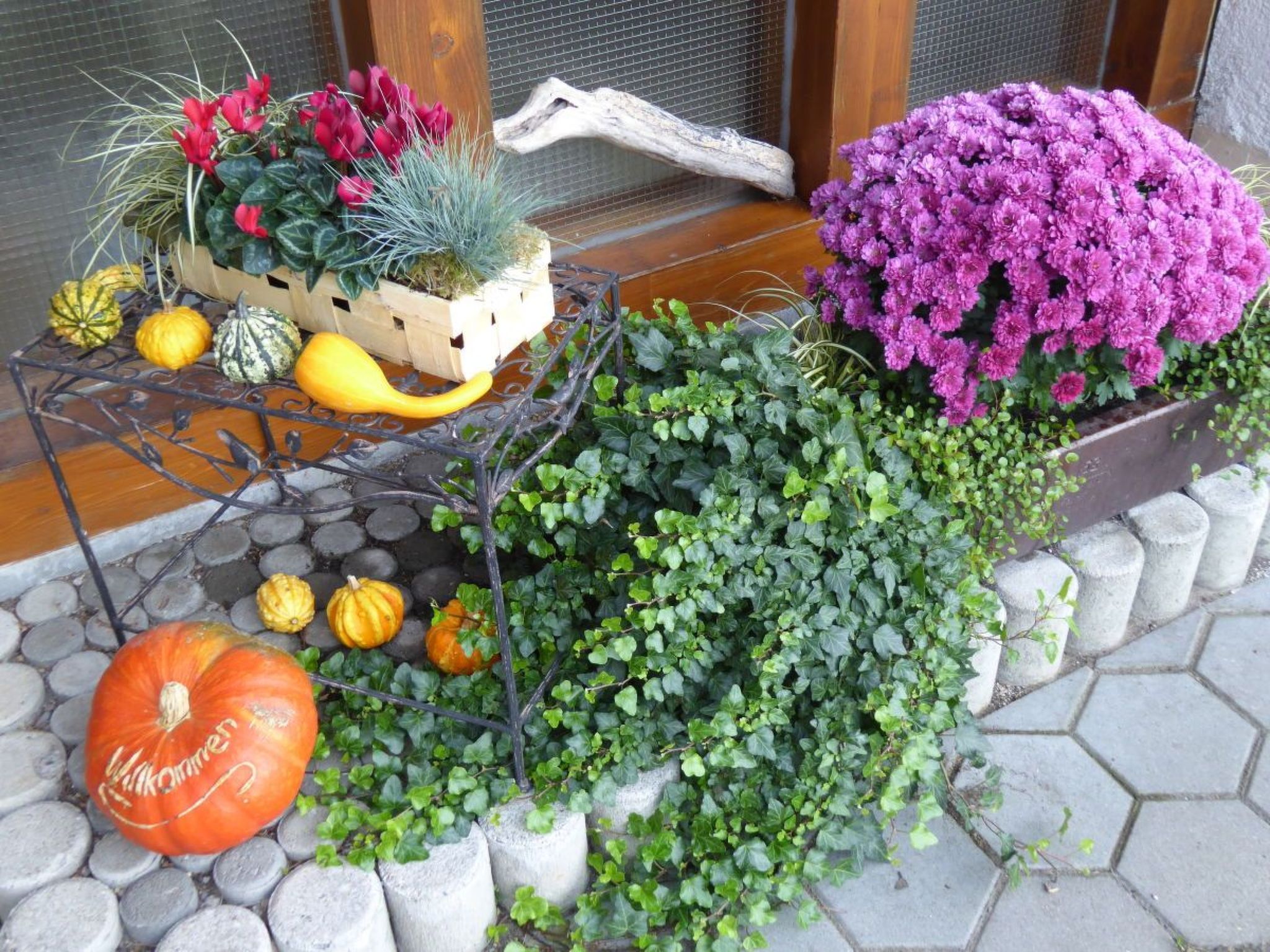 "Säntisblick"-Drinnen