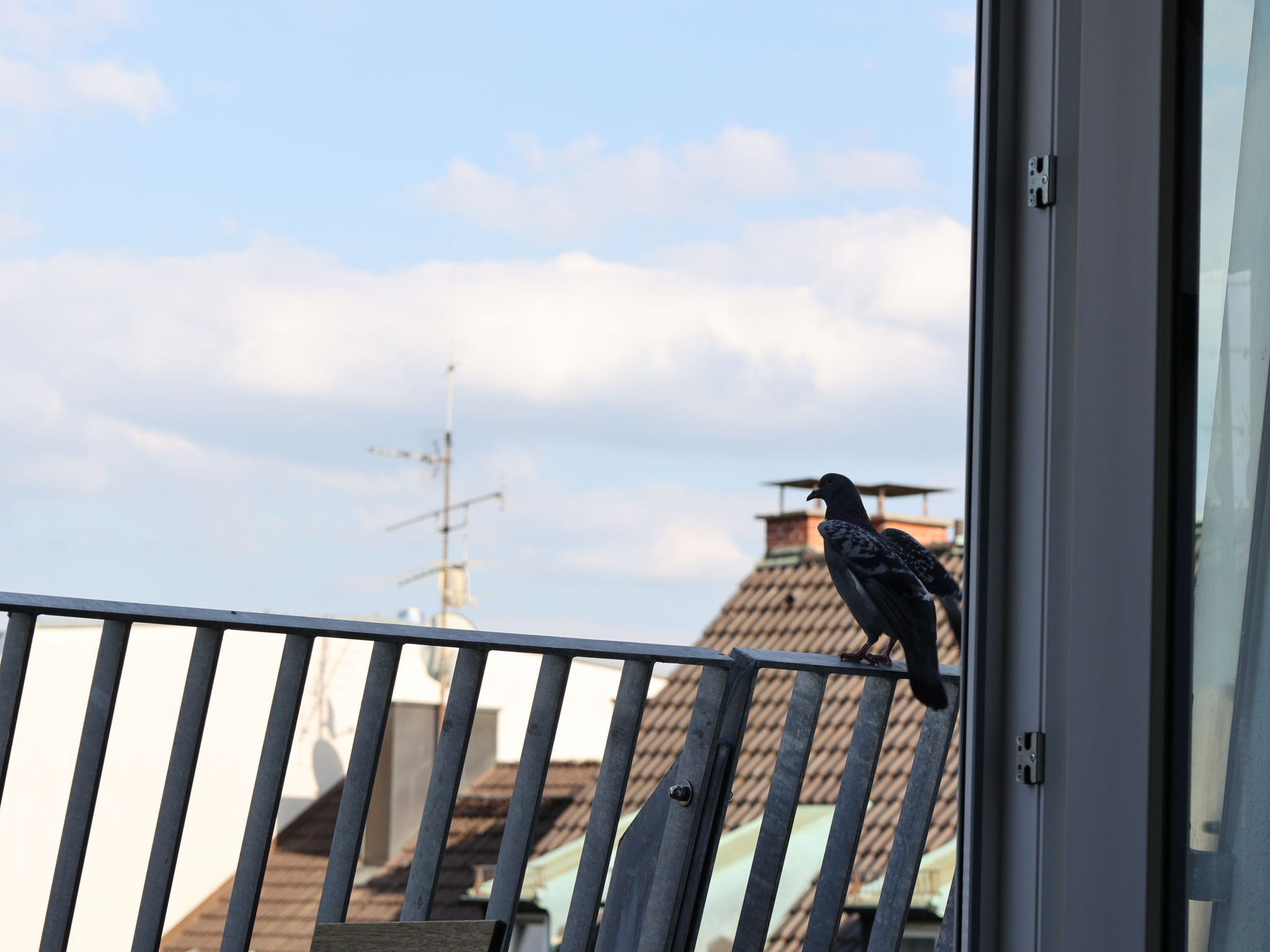 Munich Finest Apartments 19-Buiten