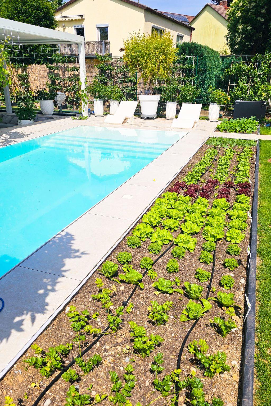 Luxurious large Home, Pool , Garden , Koi Pond-Image-tags.info