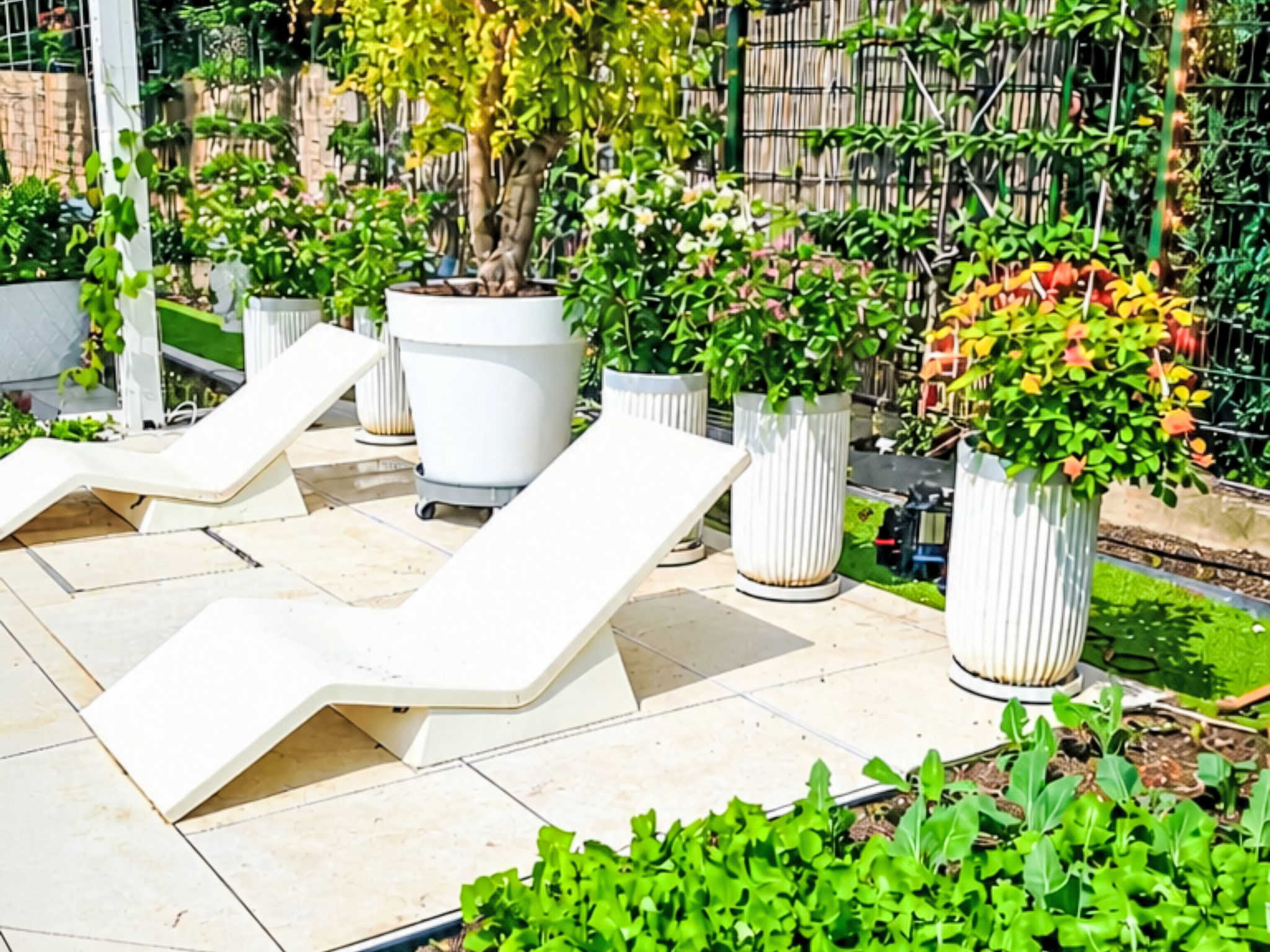 Luxurious large Home, Pool , Garden , Koi Pond — Terrace (2 of 40)