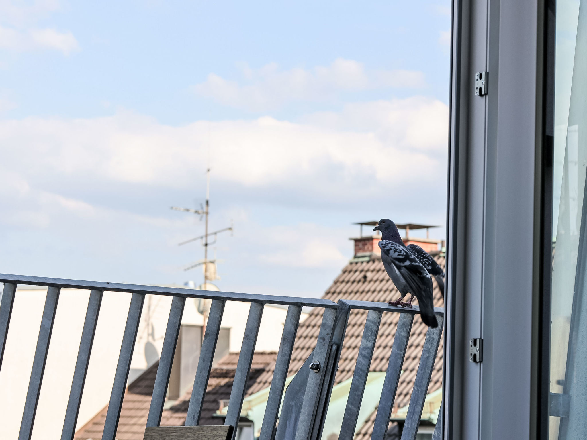 Munich Finest Apartments 17-Buiten