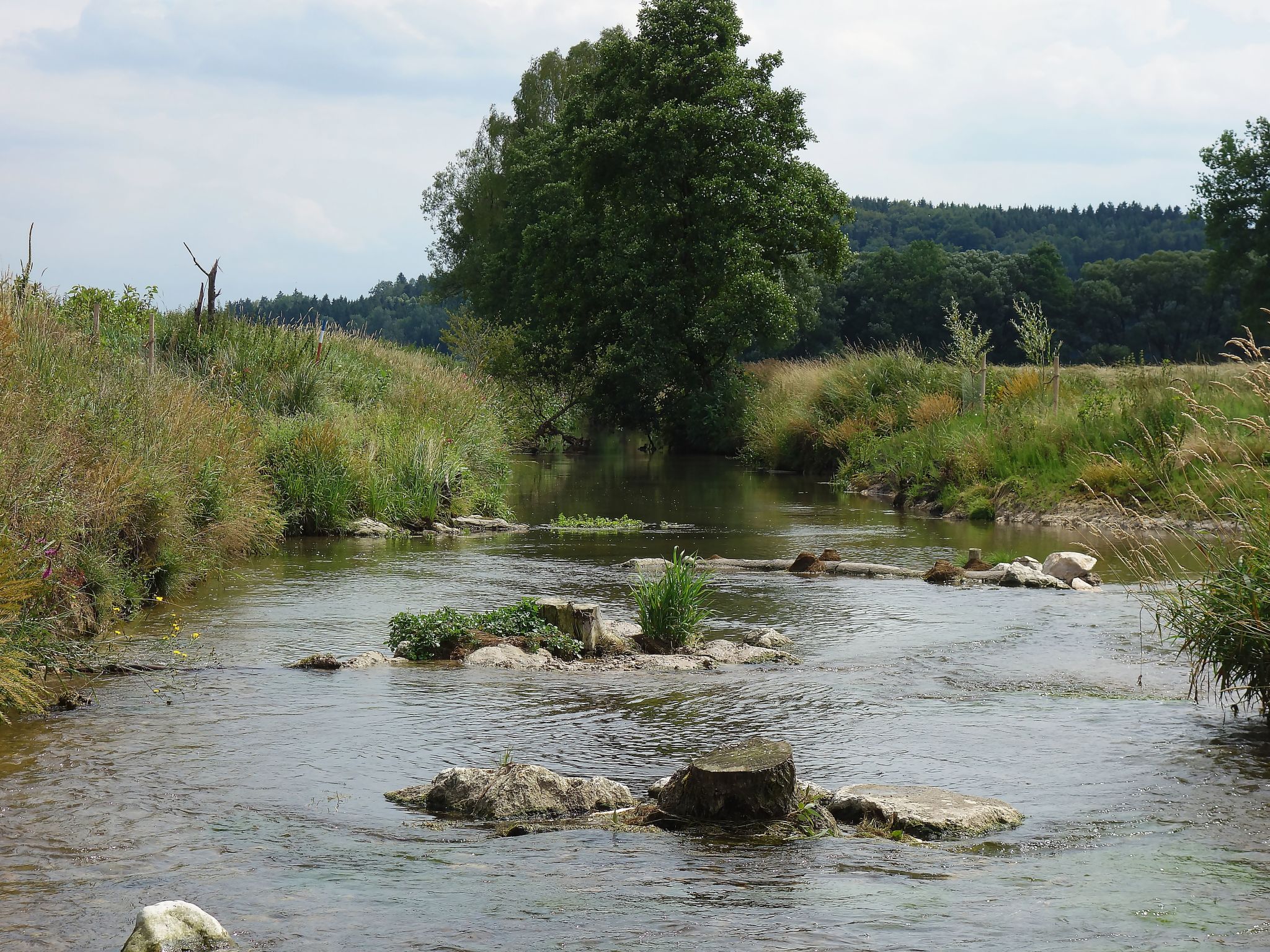 Familien Domizil-Image-tags.info