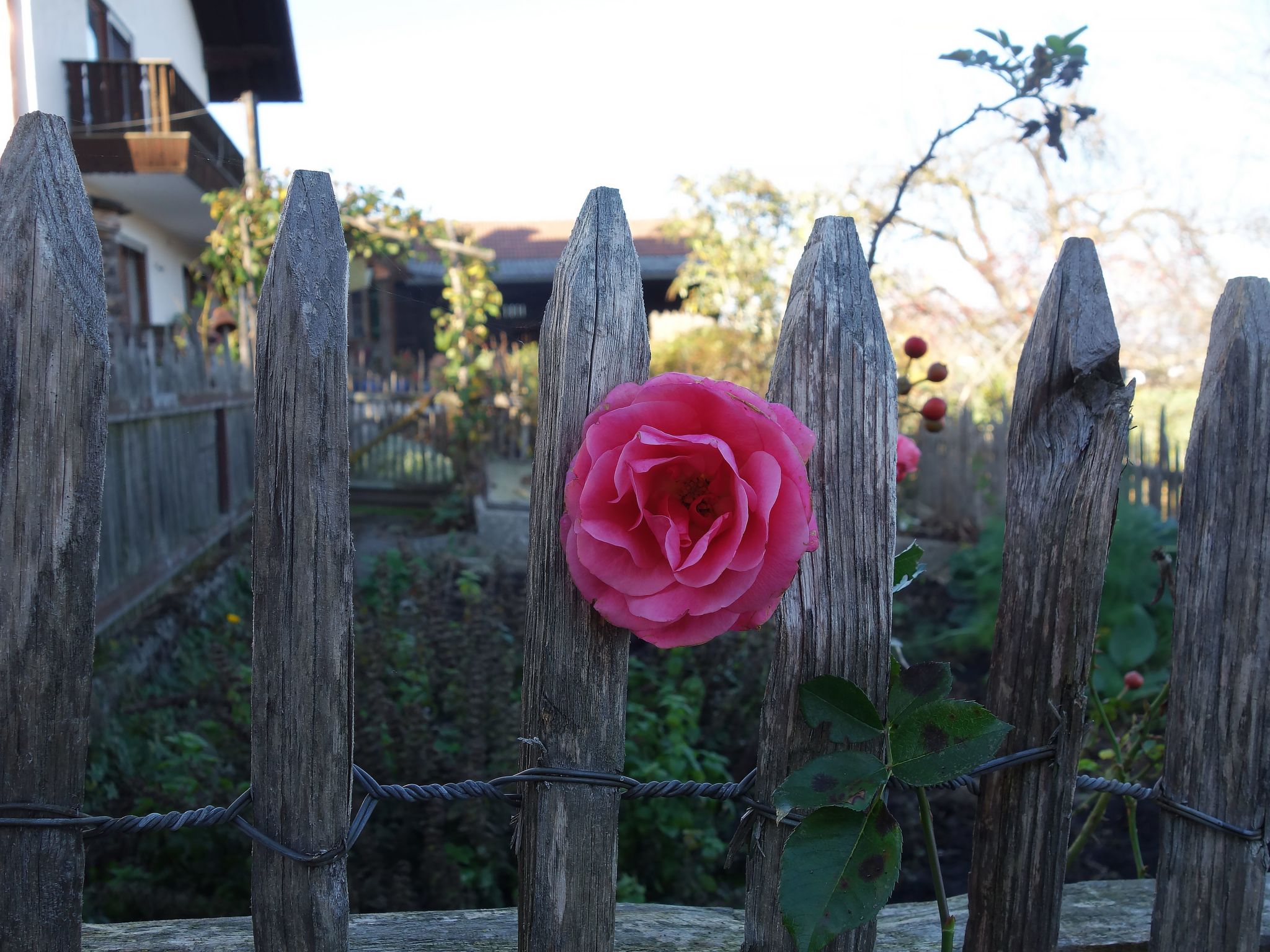 Apartment - Monteure-Image-tags.info