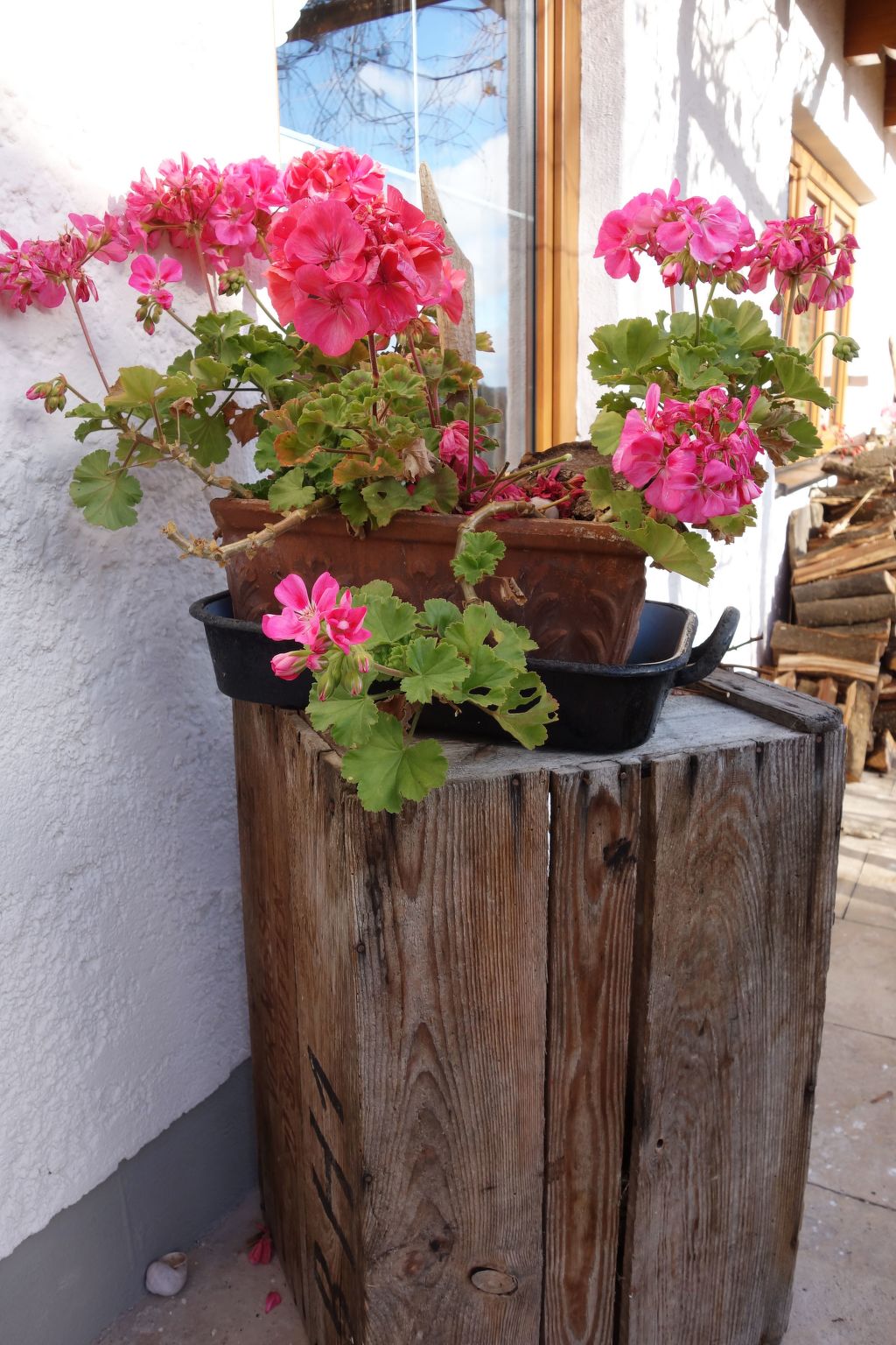 Apartment - Monteure-Image-tags.info