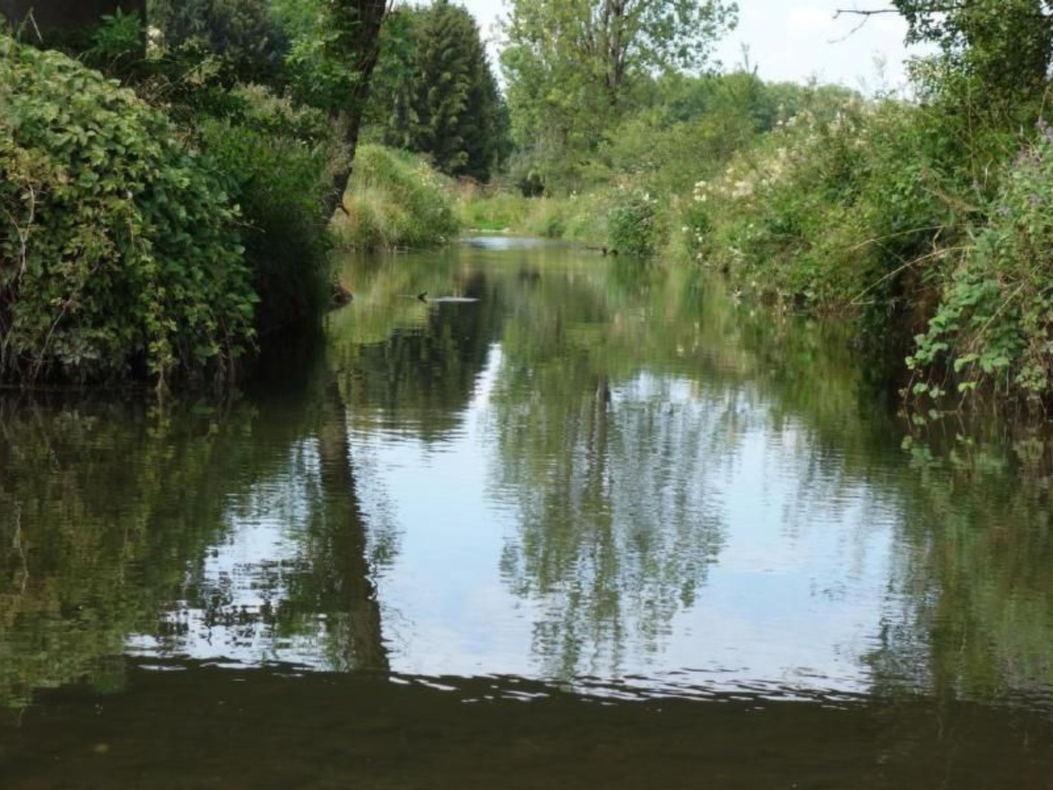 Apartment - Monteure-Image-tags.info