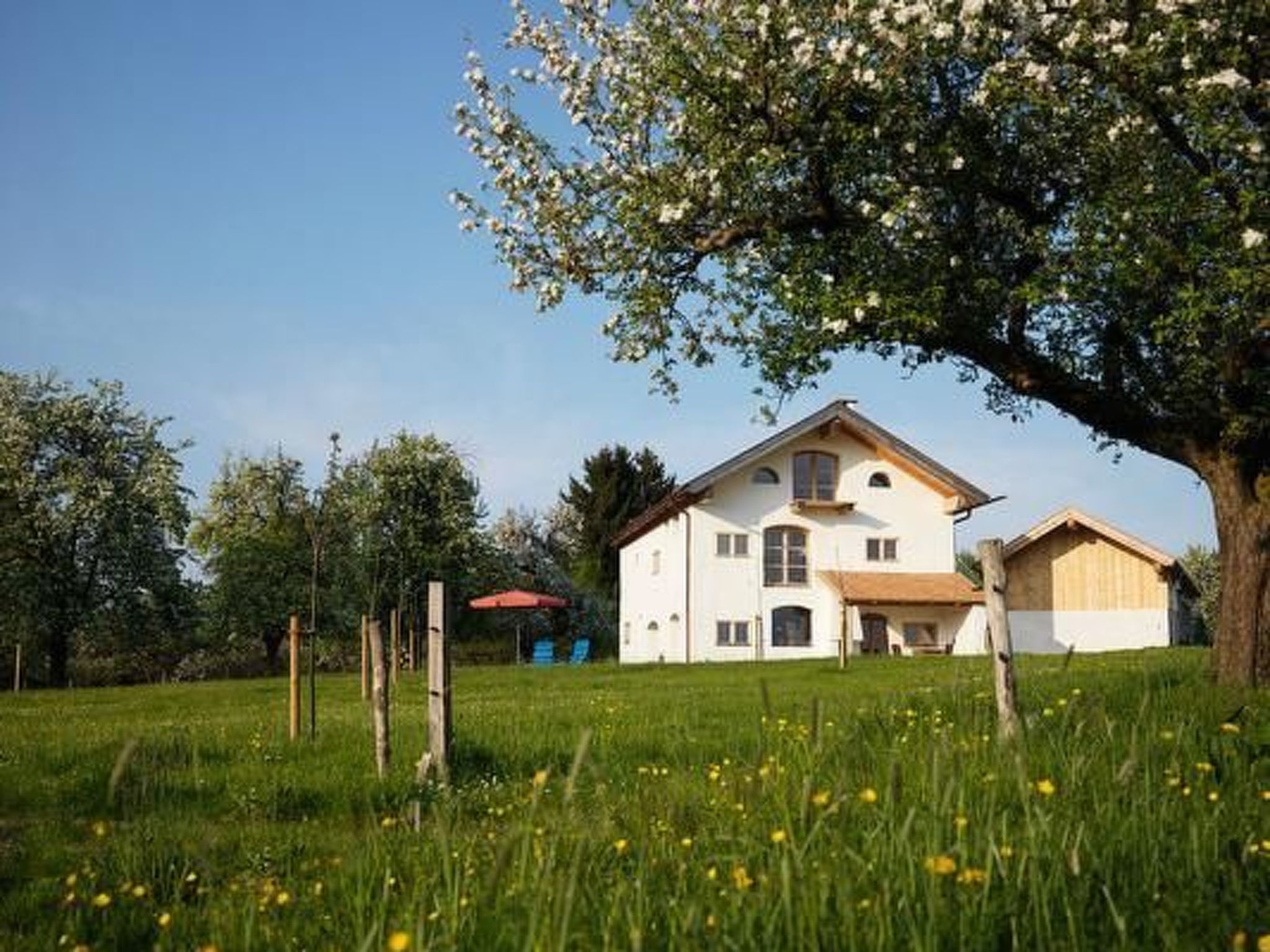 Mit Blick auf das Wasser-Image-tags.info