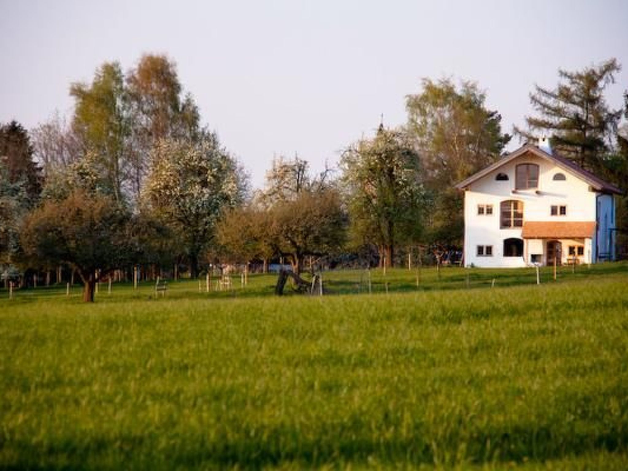 Mit Blick auf das Wasser-Image-tags.info