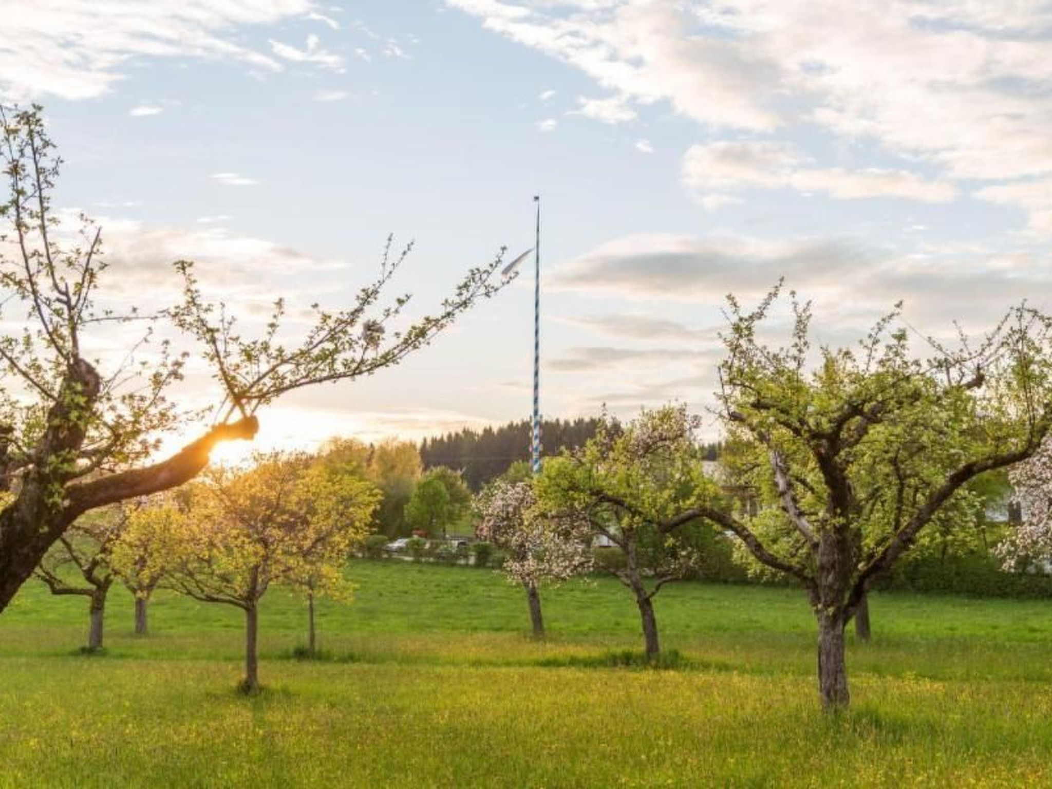 Mit Blick auf das Wasser-Dehors