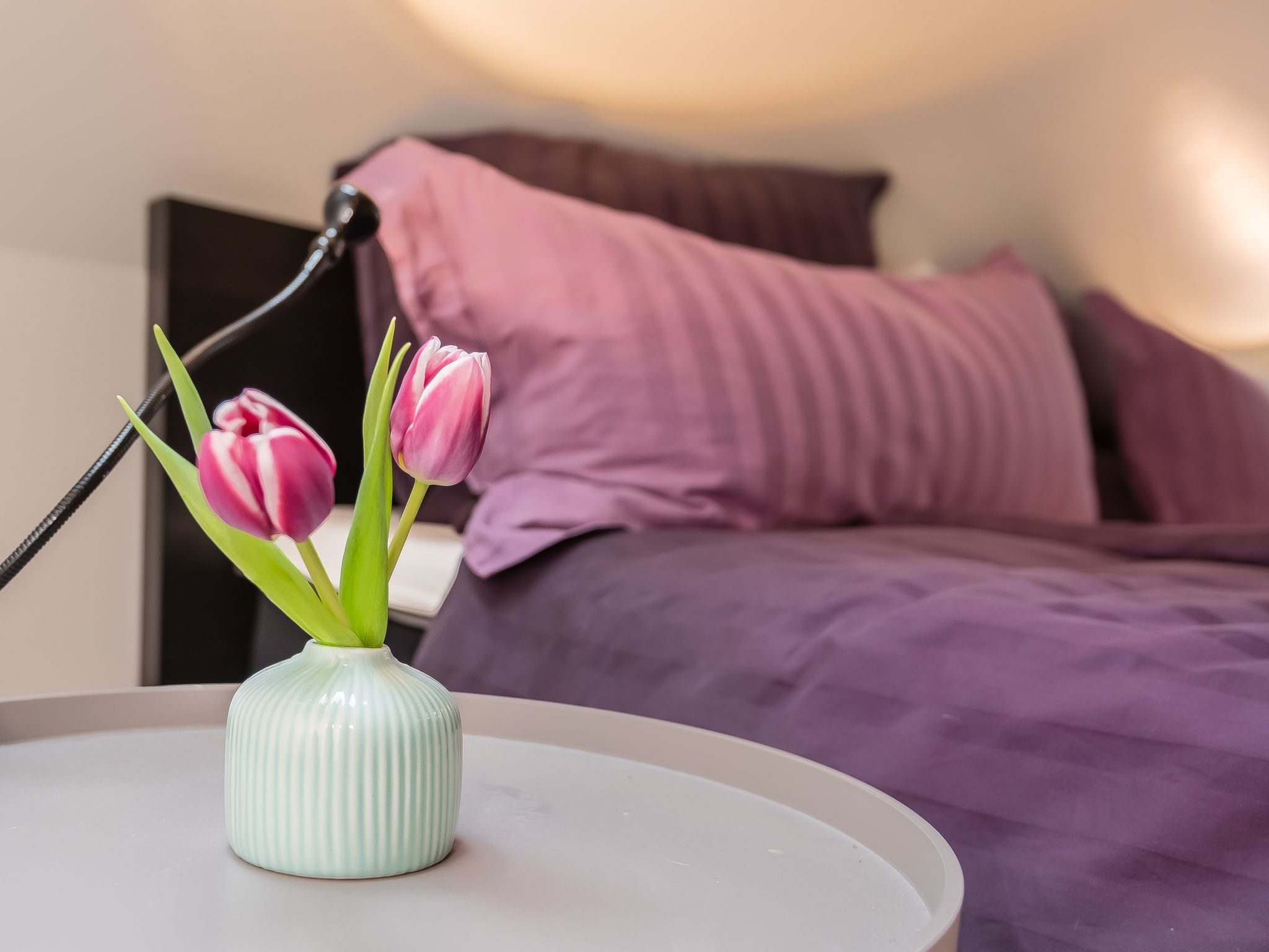 Charmante Wohnung in Holzhausen mit Grill-Image-tags.info