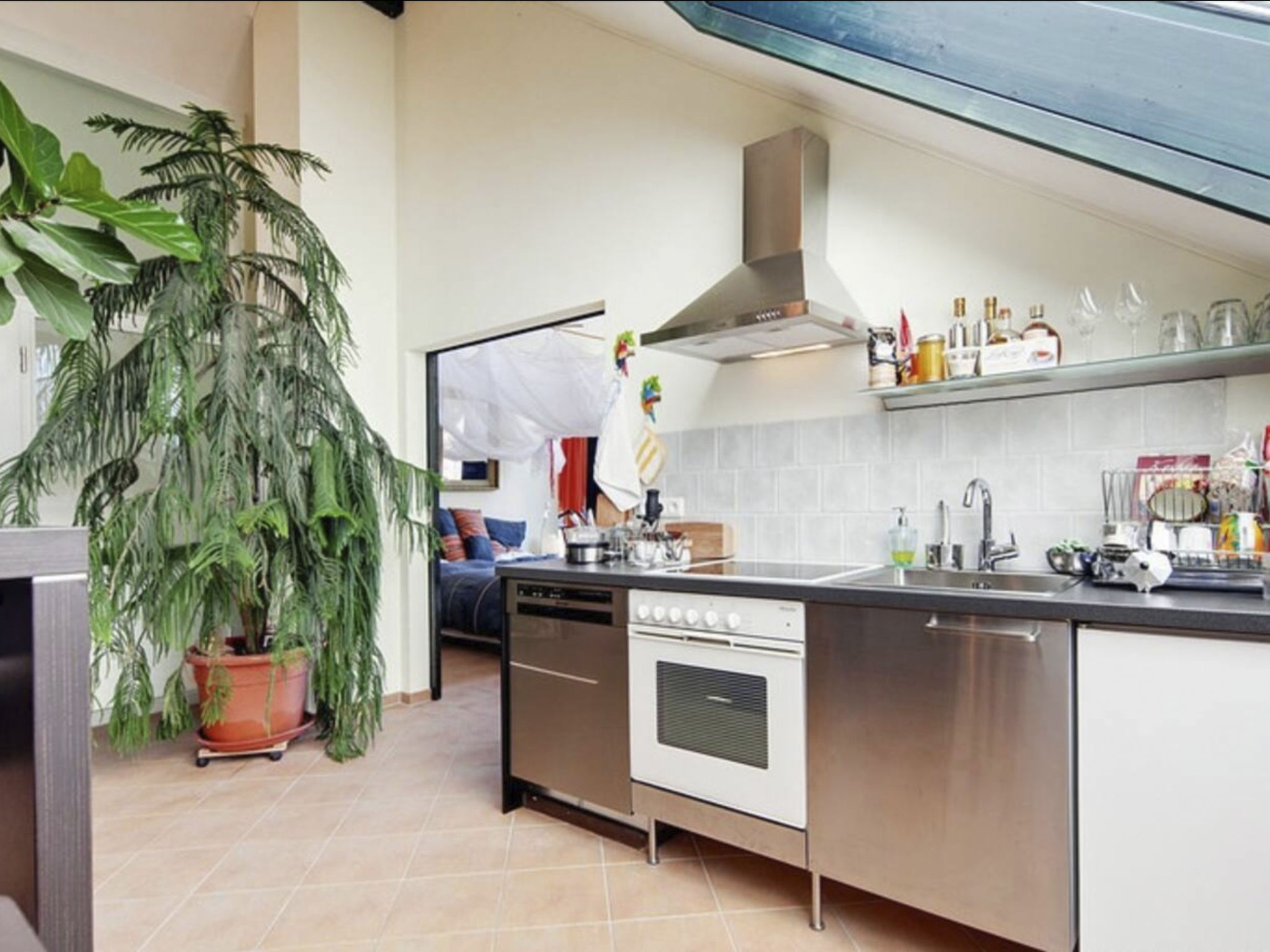 Immas Welt-Image-tags.info