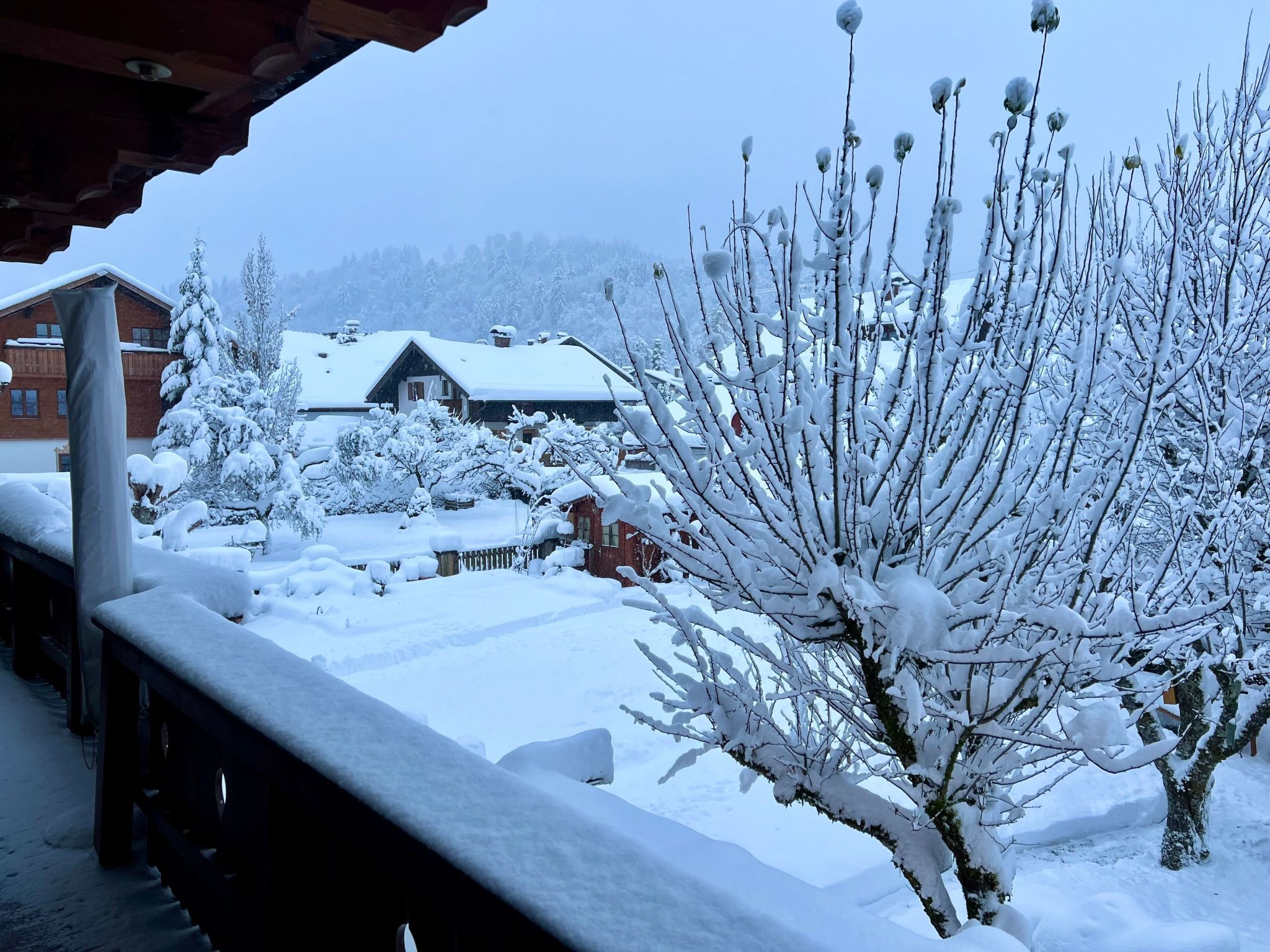 Photo of Alpspitzblick