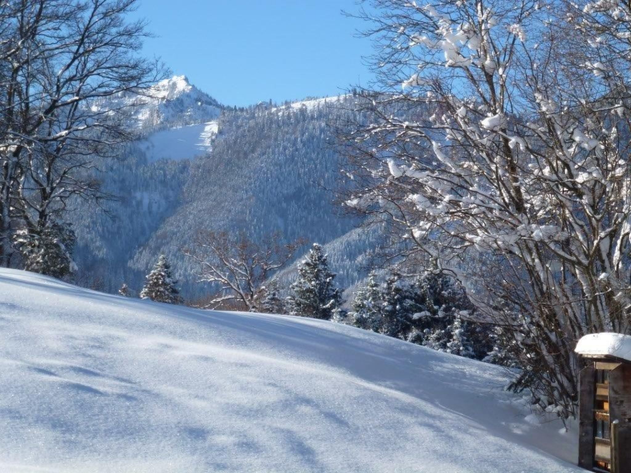 Gemütliche Ferienwohnung in Unterammergau-Binnen