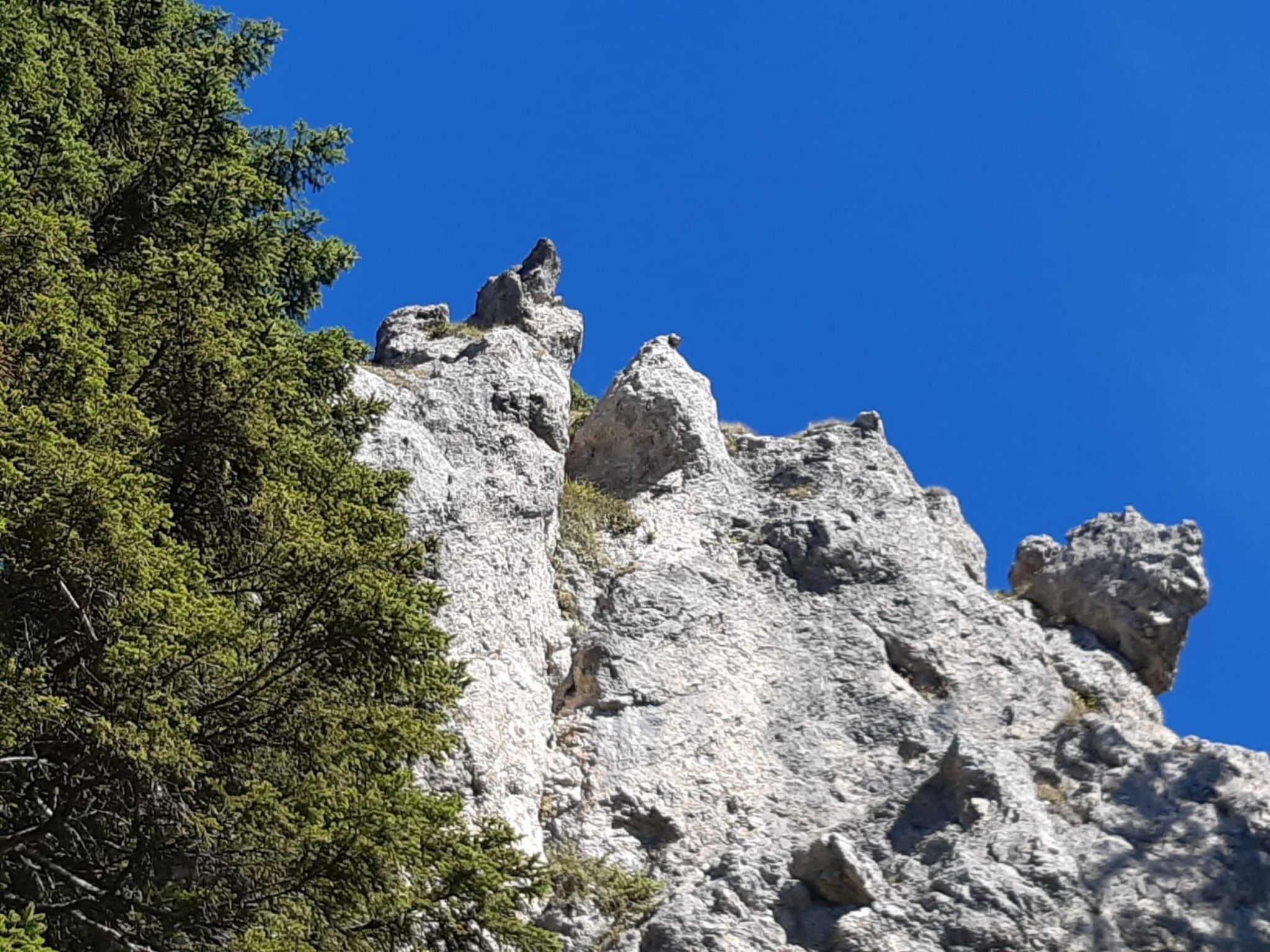 Gemütliche Ferienwohnung in Unterammergau-Binnen